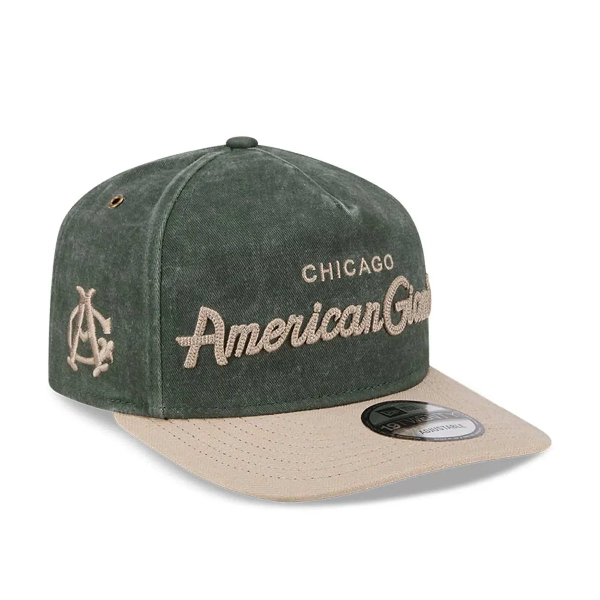 Chicago American Giants MLB Negro League Dark Green 19TWENTY Adjustable Cap New Era Cap adult unisex