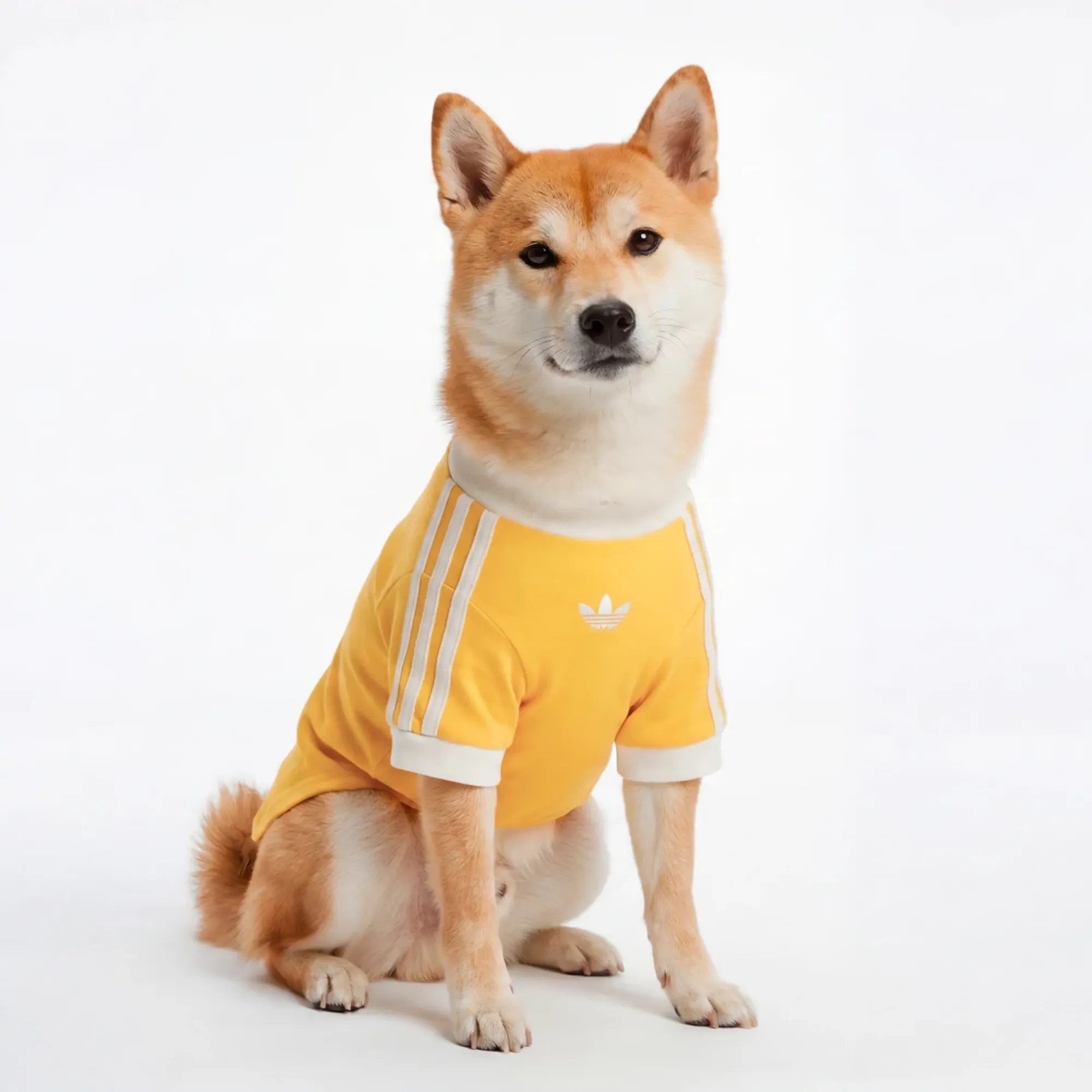 adidas PET CALI TEE