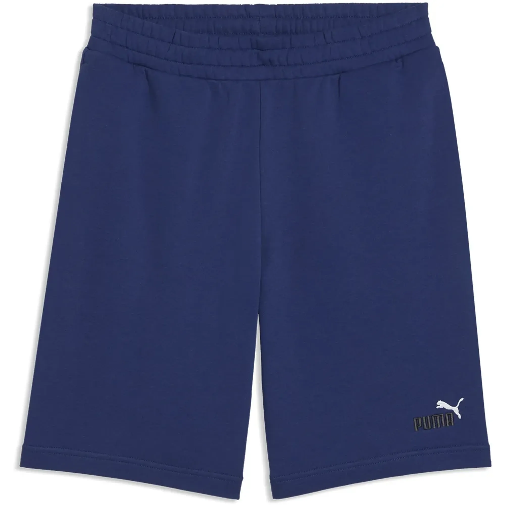 Puma Ess 2 Color No1 Logo 10´´ Shorts
