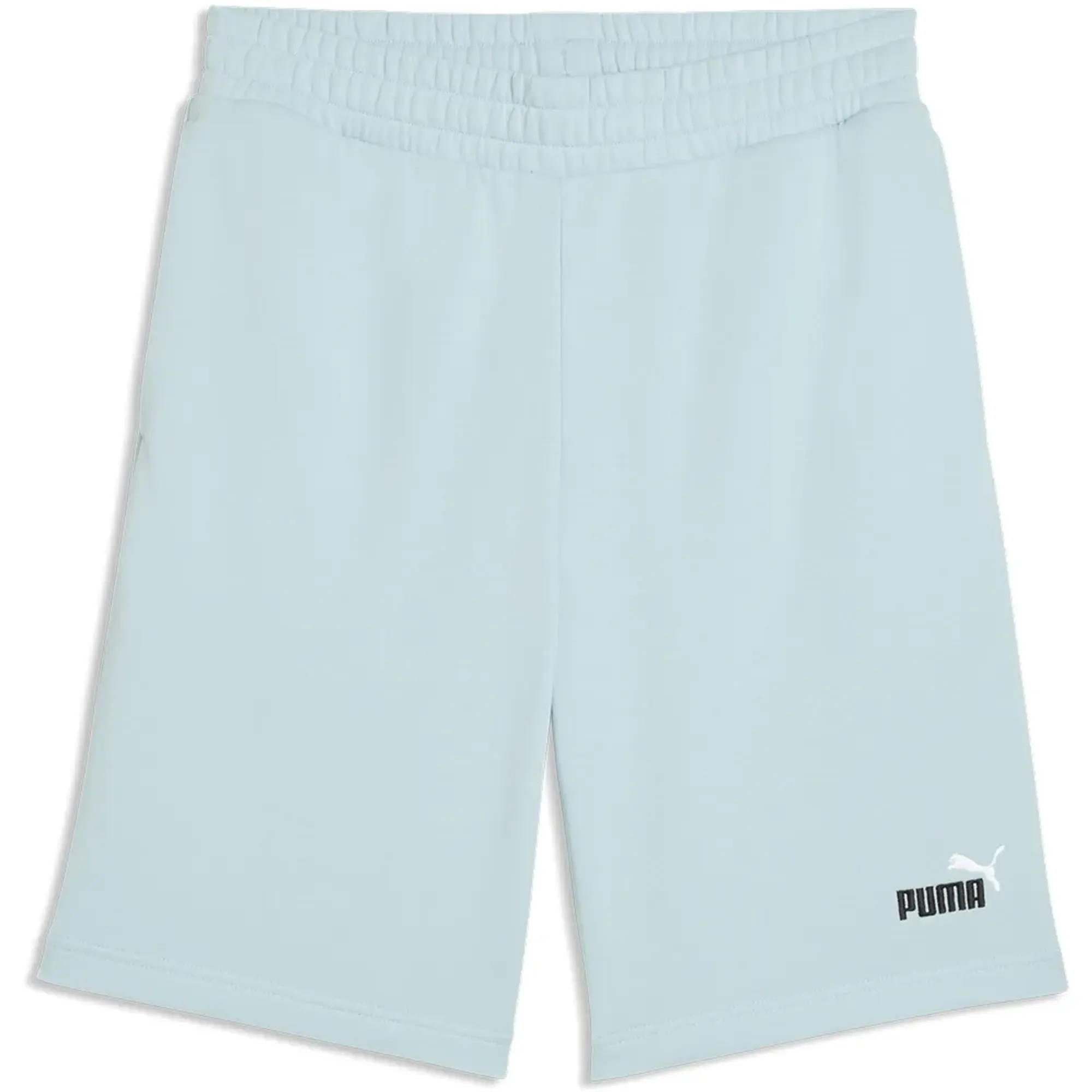 Puma Ess 2 Color No1 Logo 10´´ Shorts