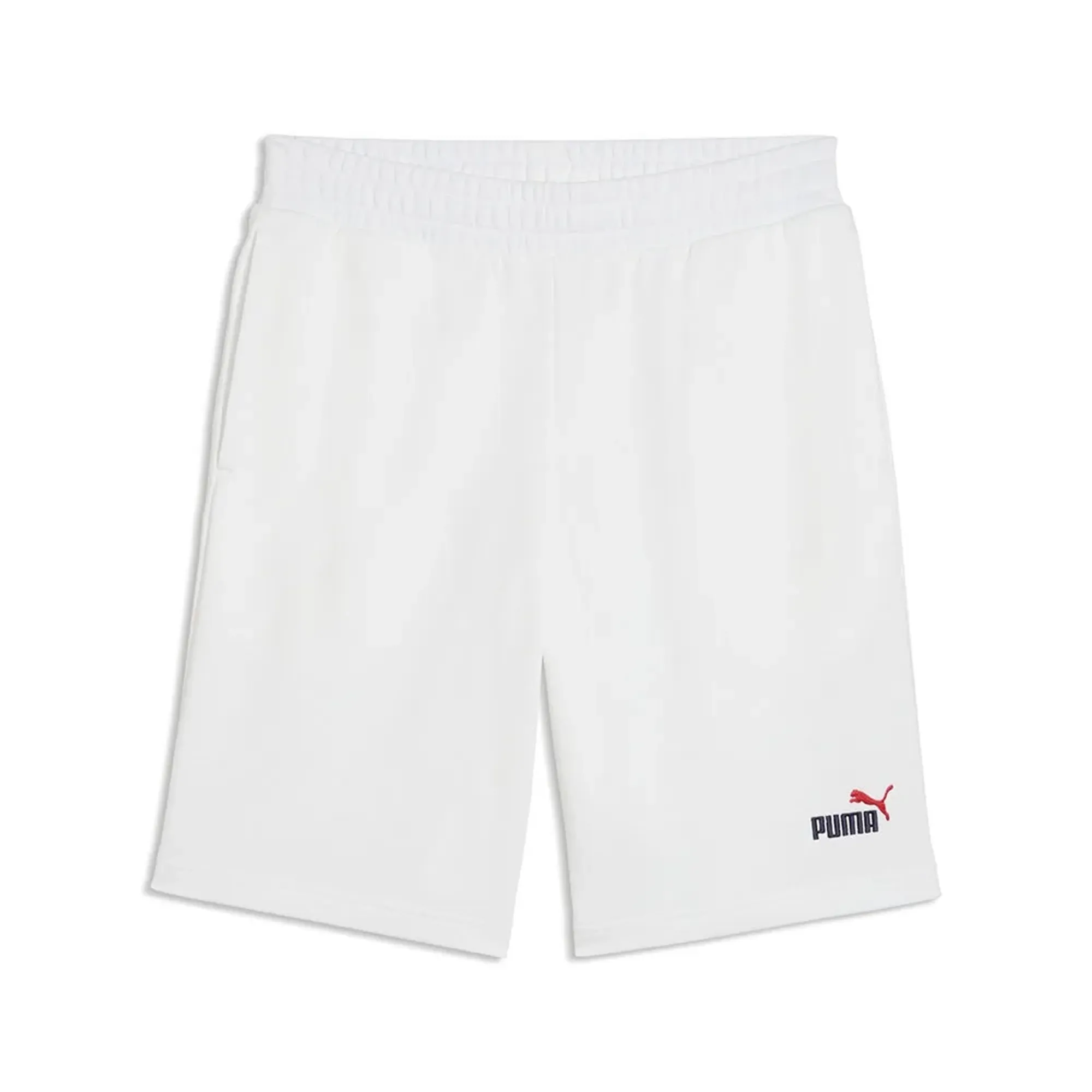 Puma Ess 2 Color No1 Logo 10´´ Shorts
