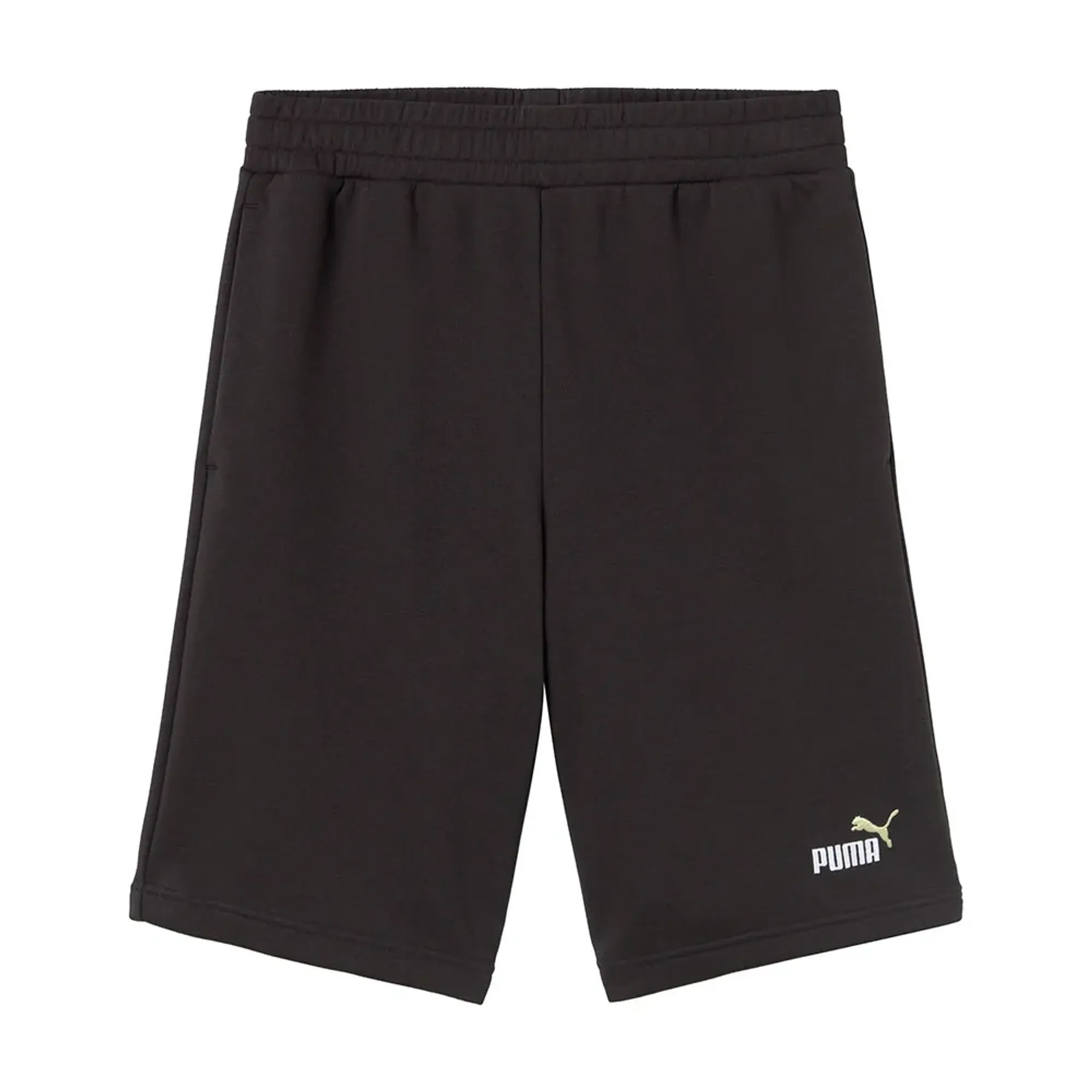 Puma Ess 2 Color No1 Logo 10´´ Shorts