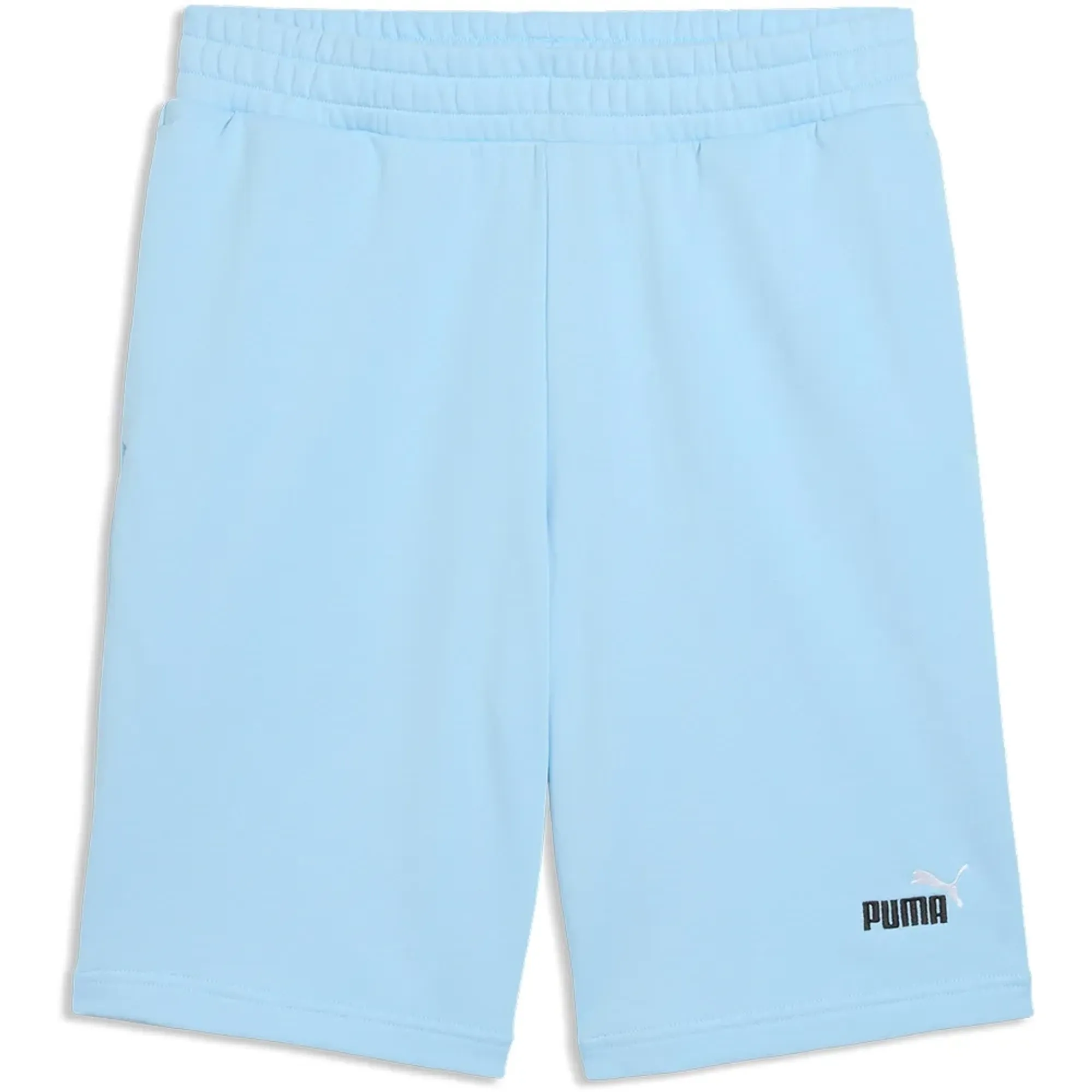 Puma Ess 2 Color No1 Logo 10´´ Shorts