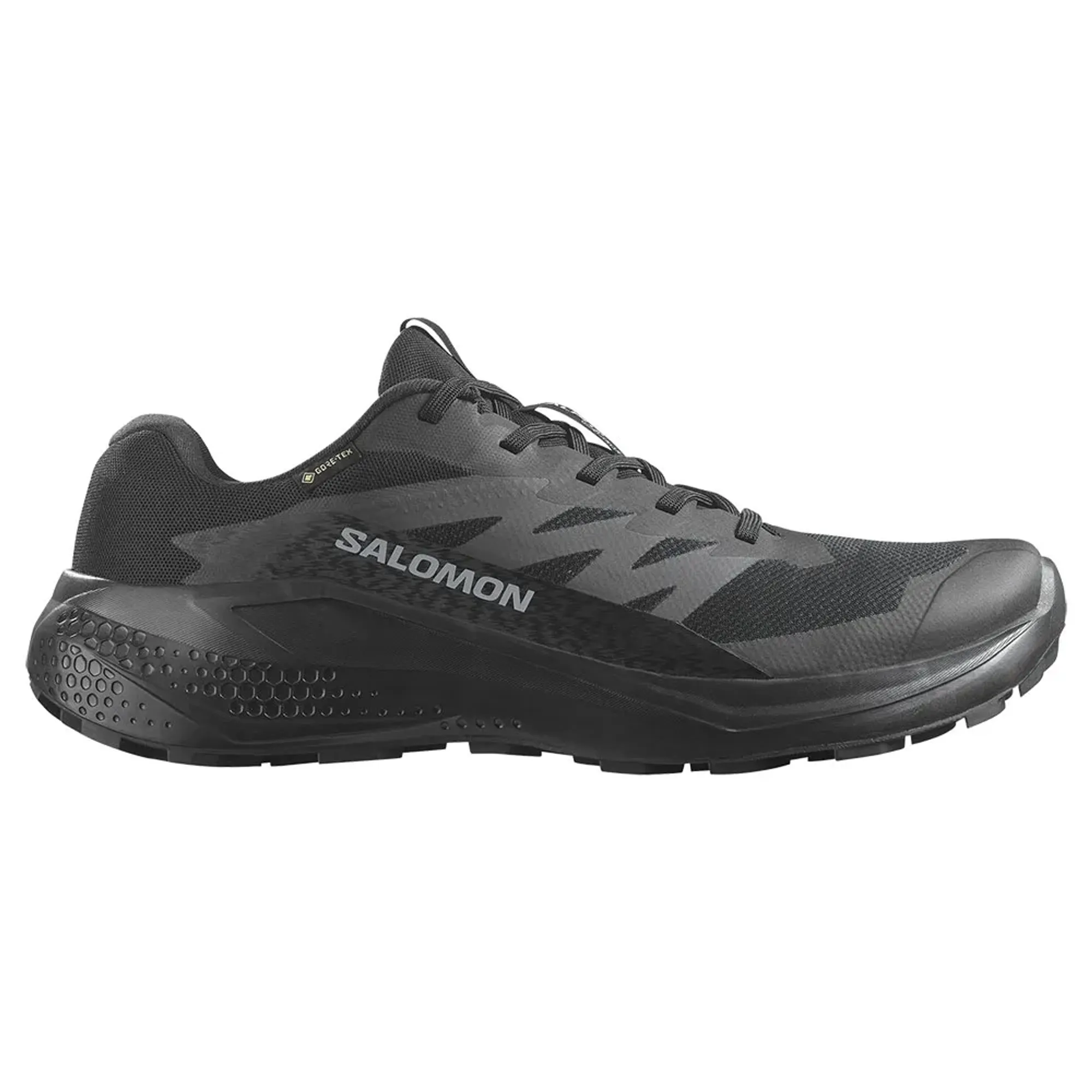 Salomon Alphaglide Gore-tex® Trail Running Shoes