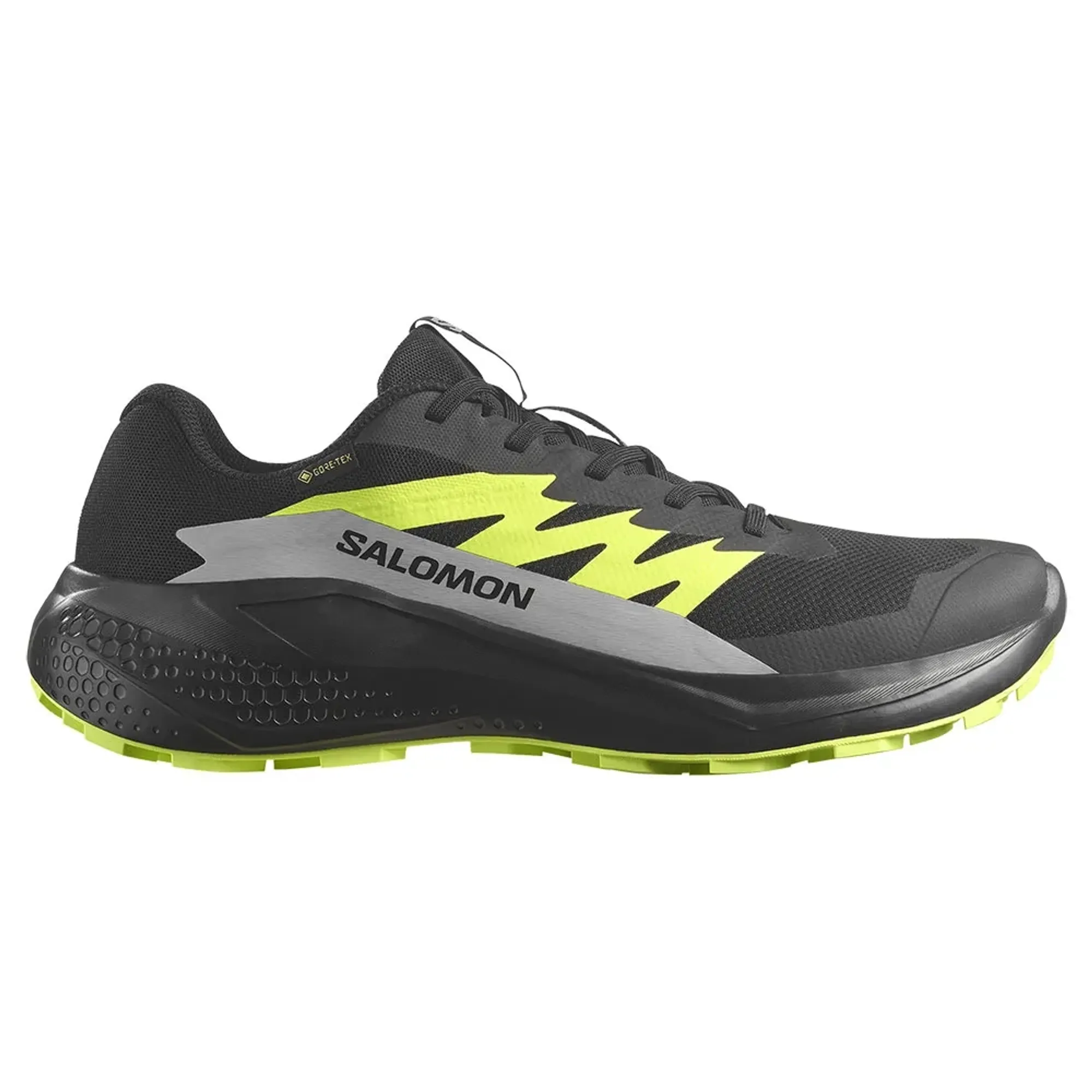 Salomon Alphaglide Gore-tex® Trail Running Shoes