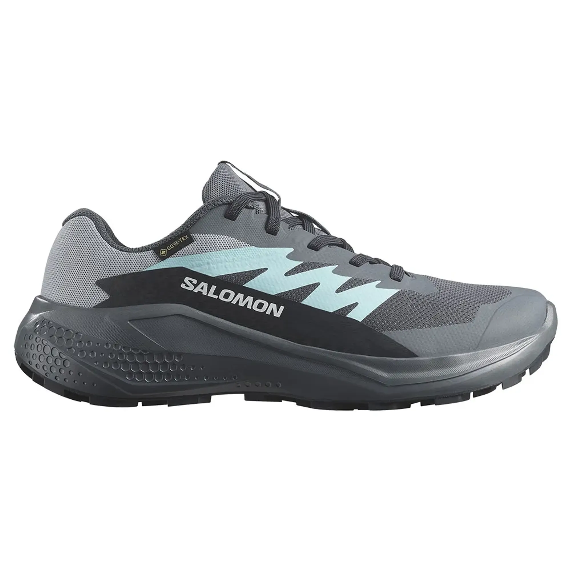 Salomon Alphaglide Gore-tex® Trail Running Shoes