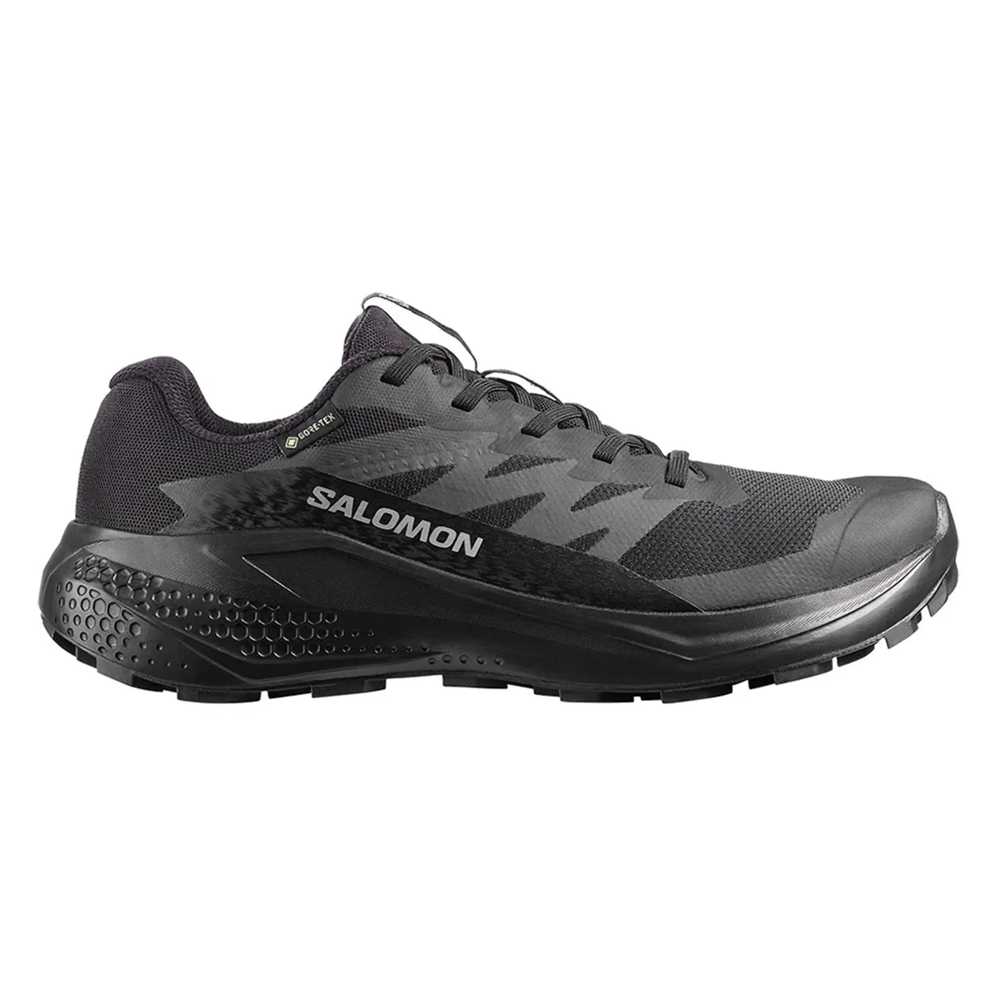 Salomon Alphaglide Gore-tex® Trail Running Shoes