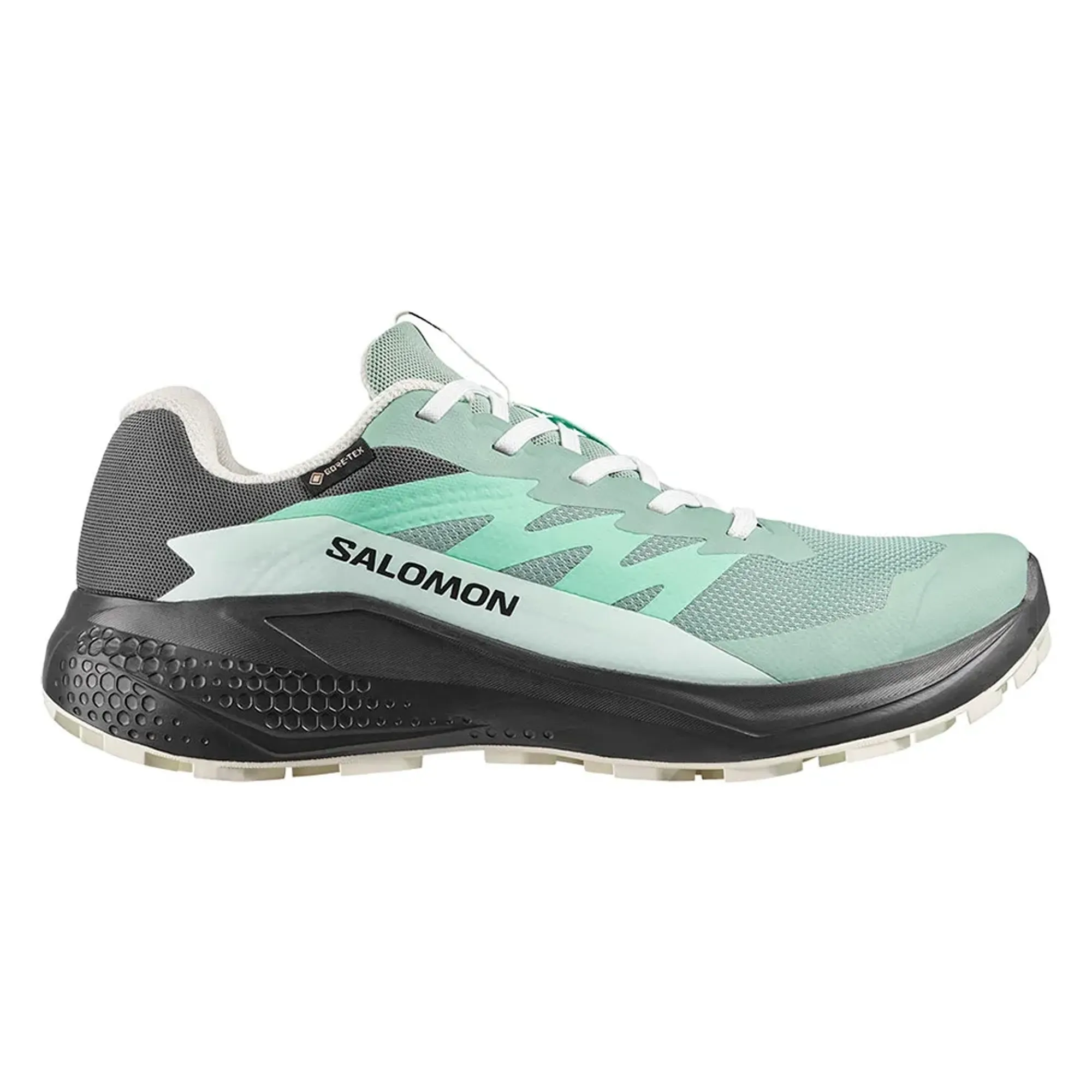 Salomon Alphaglide Gore-tex® Trail Running Shoes