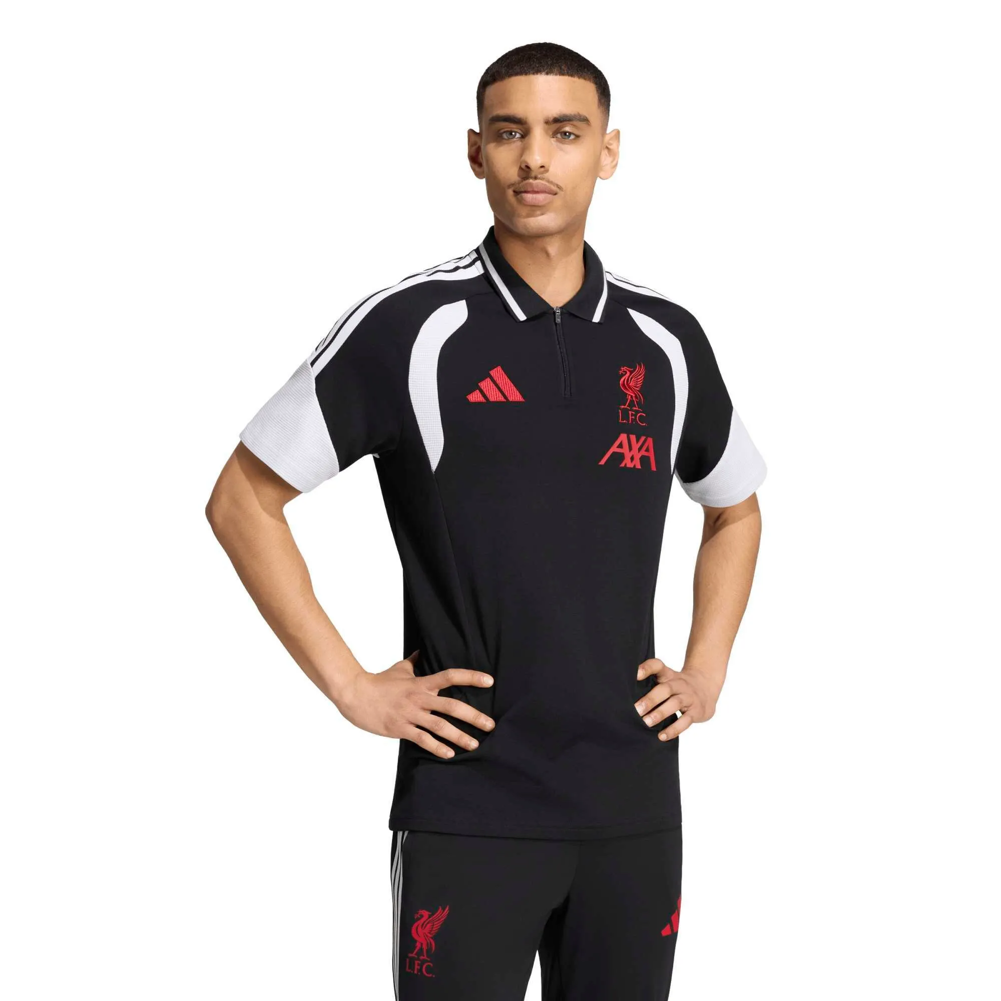 Liverpool adidas Training Polo - Black
