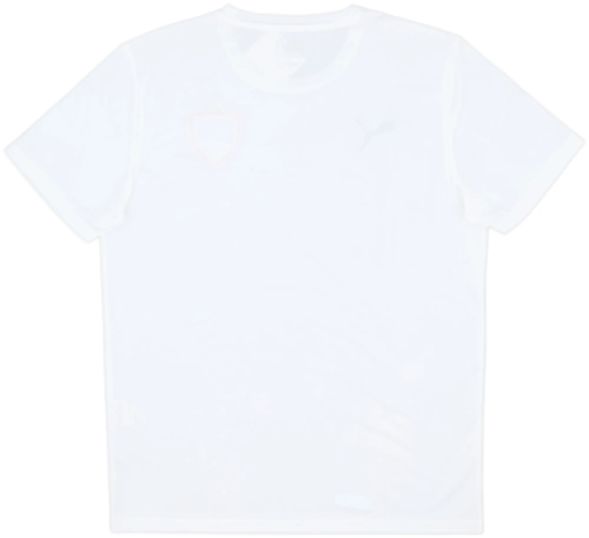2010-11 Stuttgart Puma Training Shirt (M)