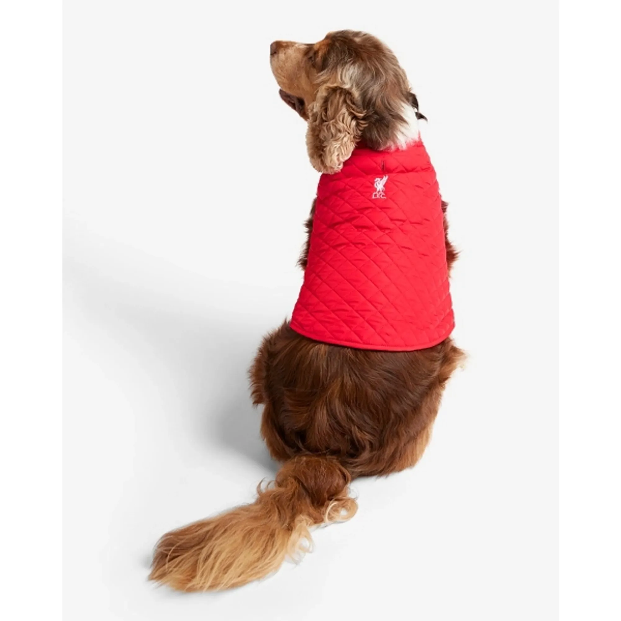 LFC Dog Quilted Jacket