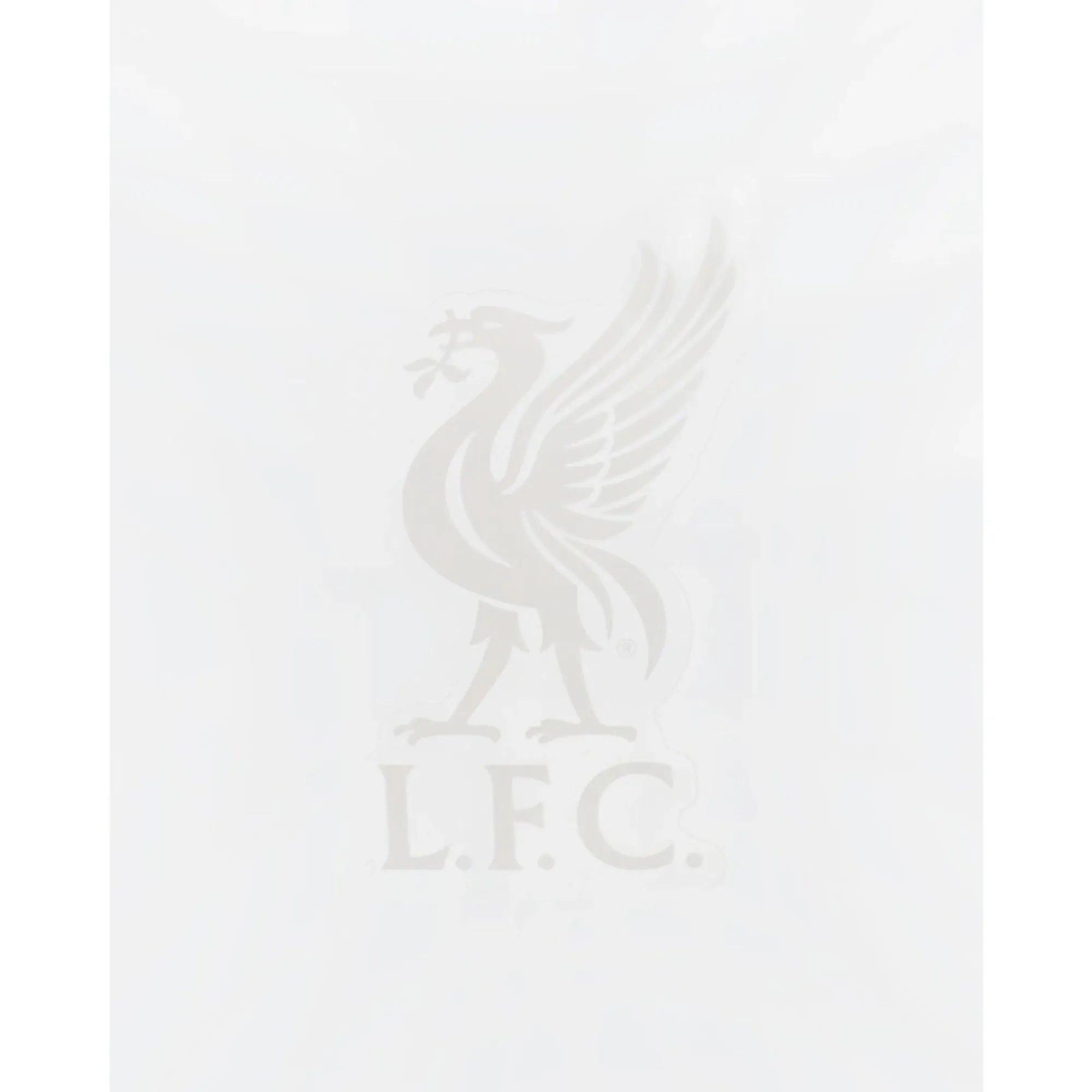 LFC Small Liverbird Car Sticker