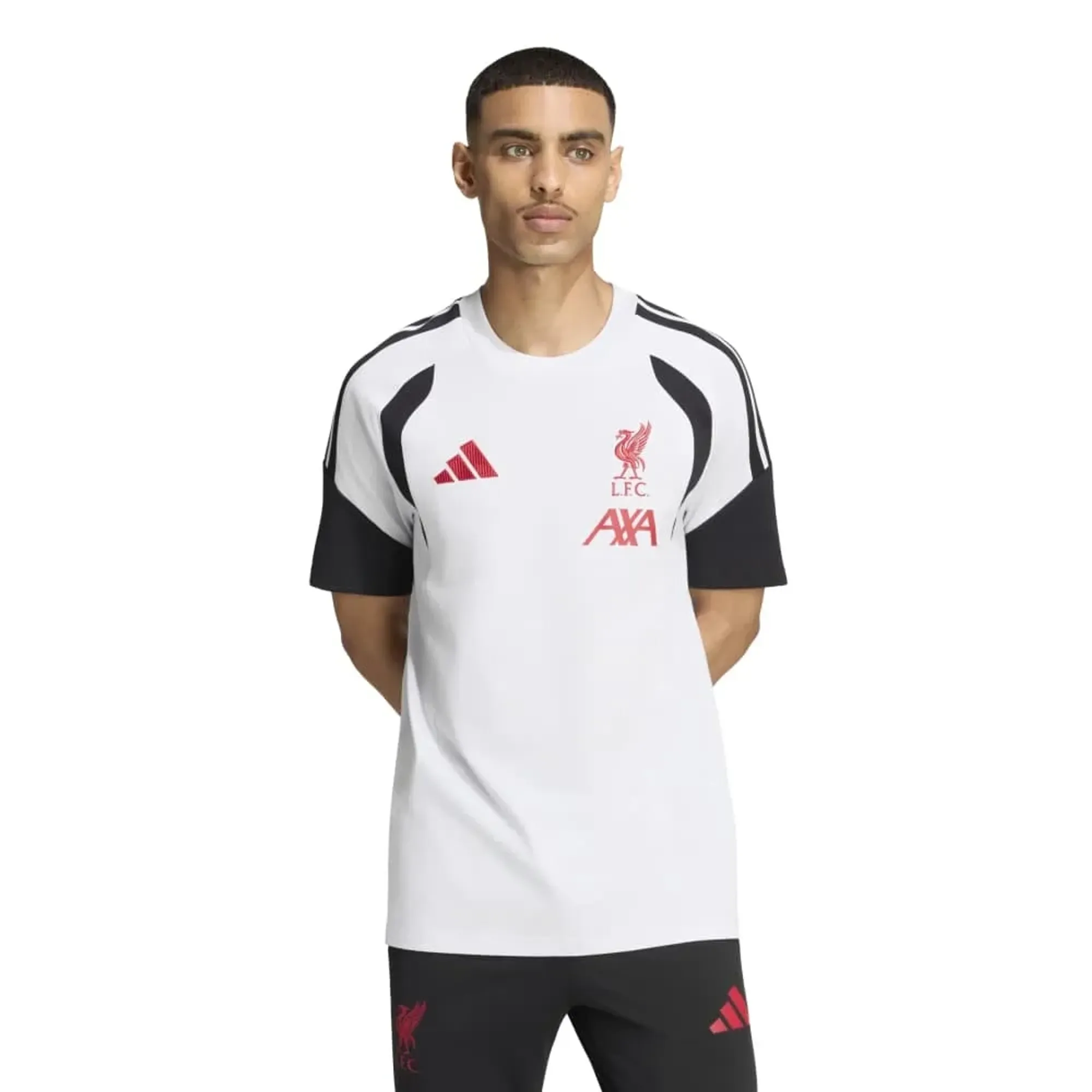 LFC adidas Mens 26/27 Tiro Cotton Tee Dash Grey