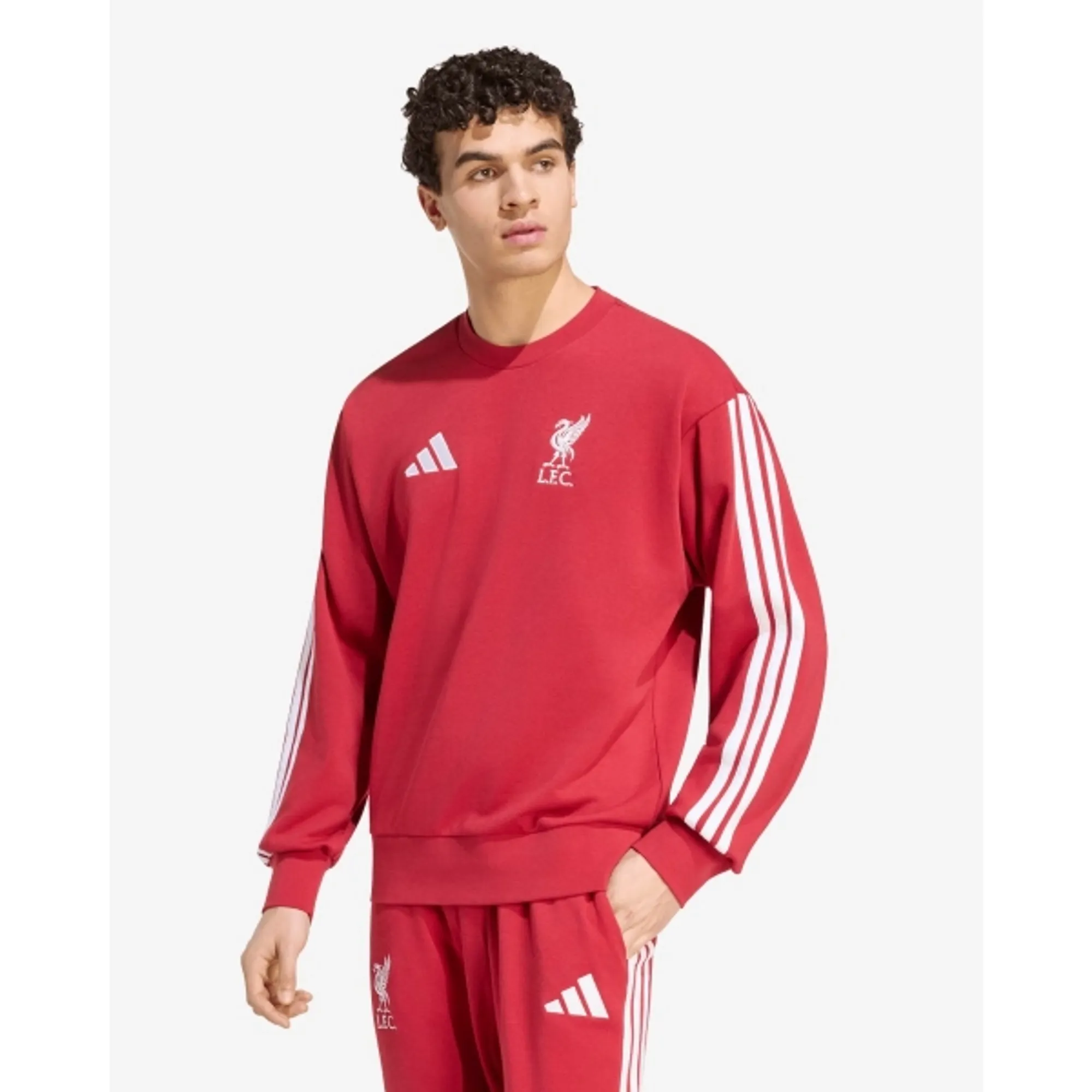 LFC adidas Mens 26/27 DNA Sweatshirt Active Maroon