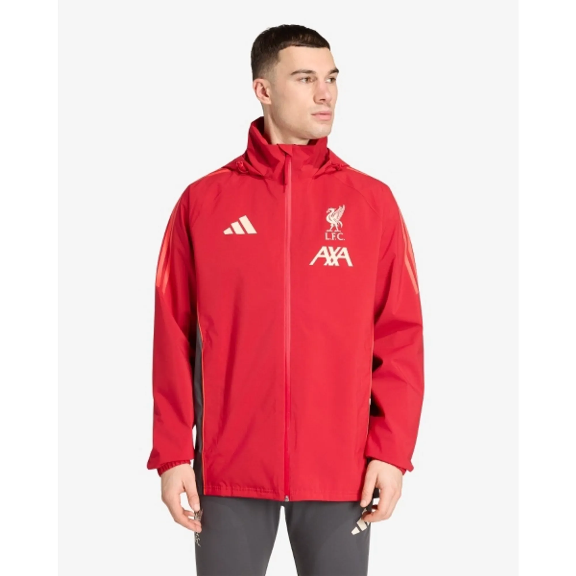 LFC adidas Mens 25/26 Rain Jacket Red