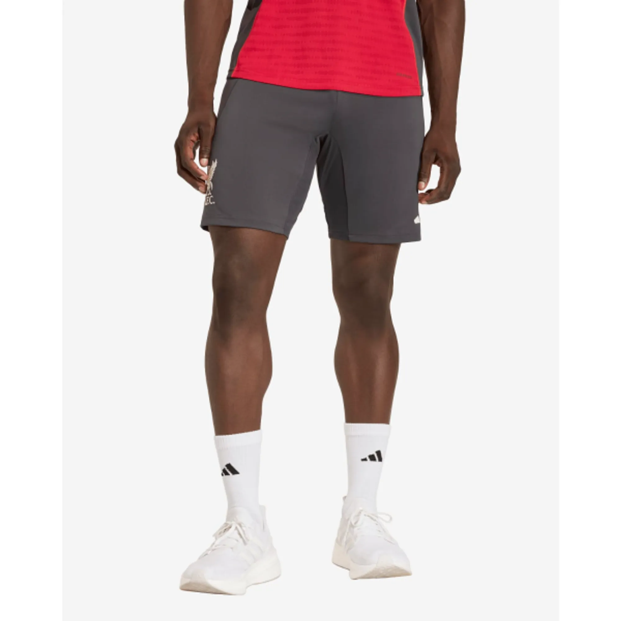 LFC adidas Mens 25/26 Pro-Training Shorts Black
