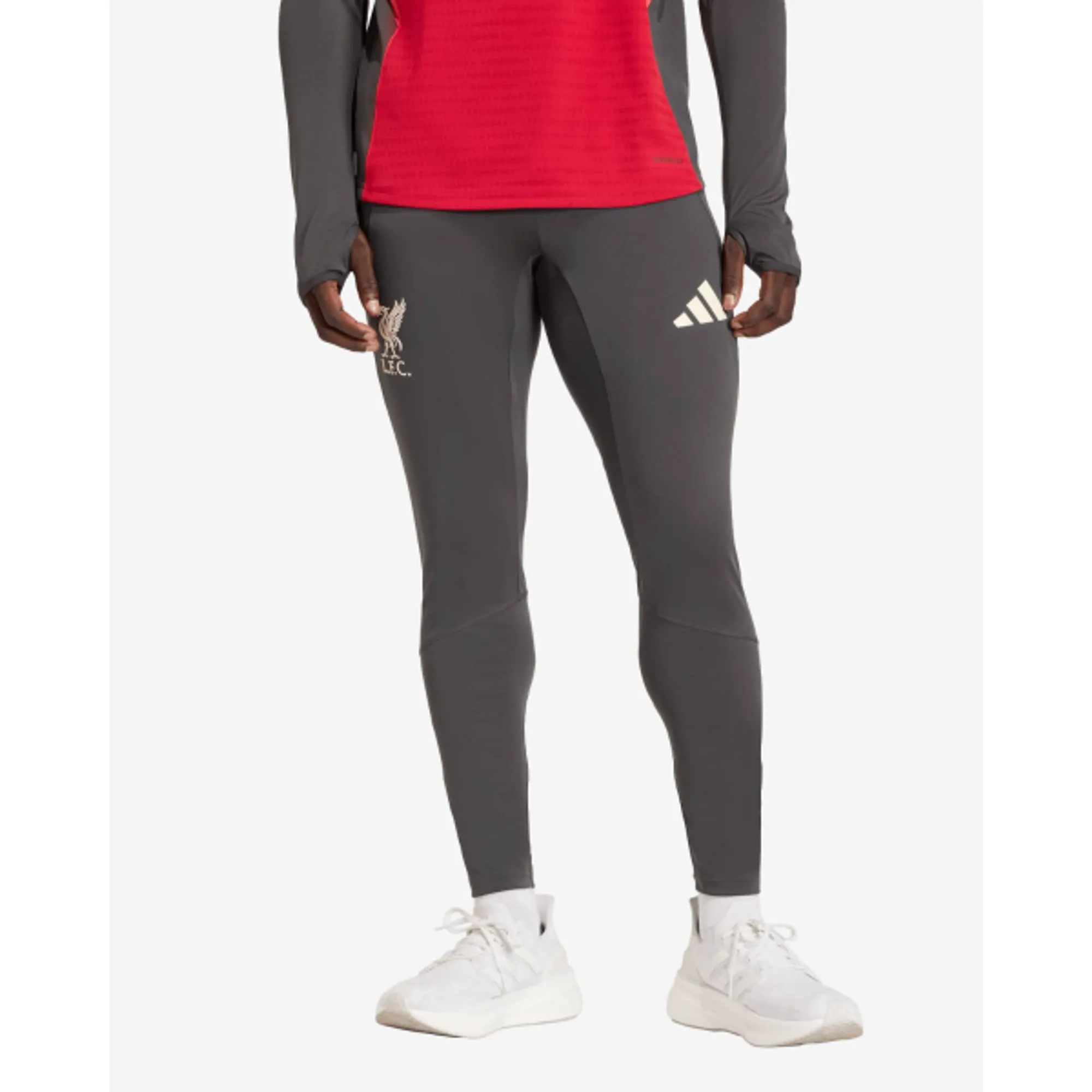LFC adidas Mens 25/26 Pro Pants Black
