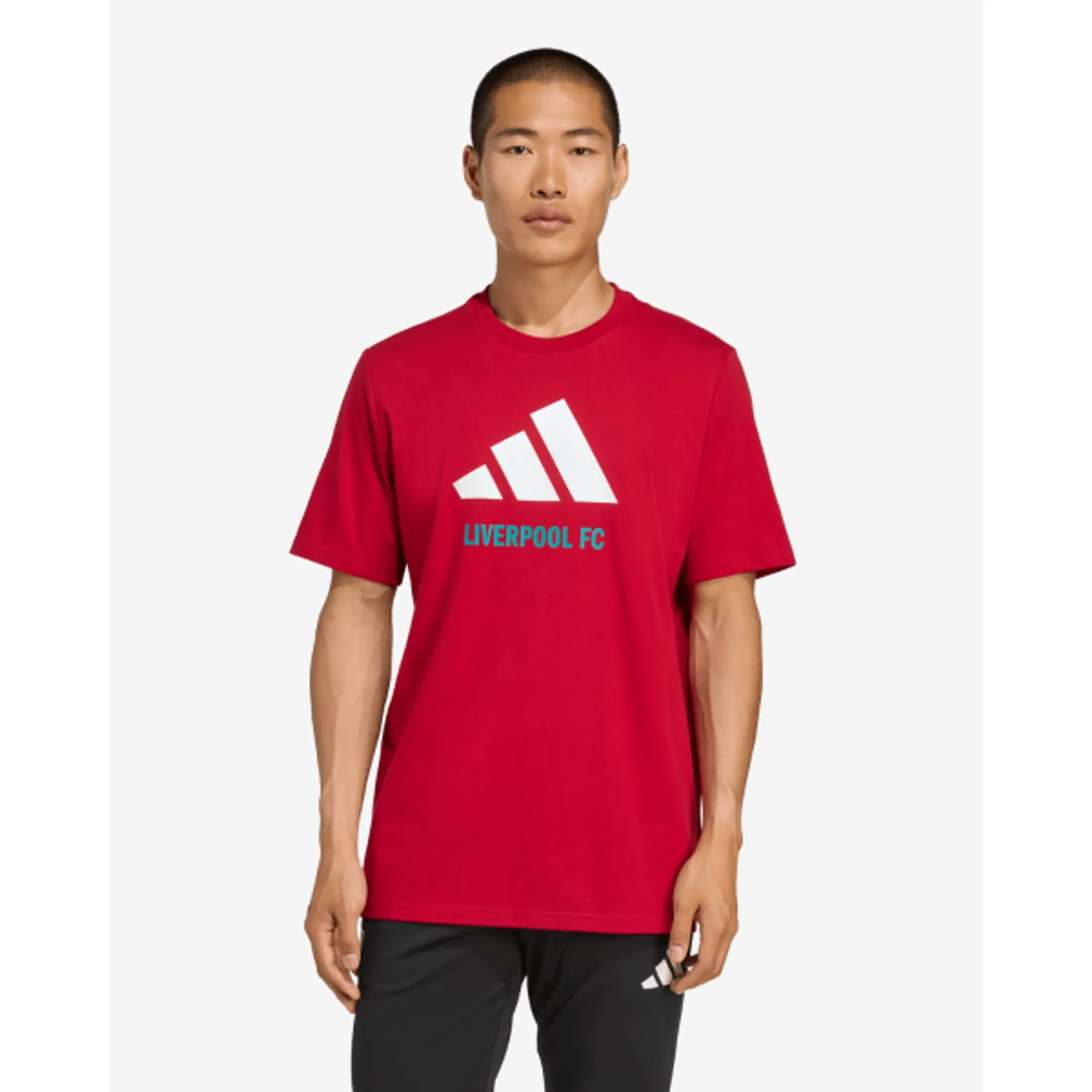 LFC adidas Adults Graphic Tee Red