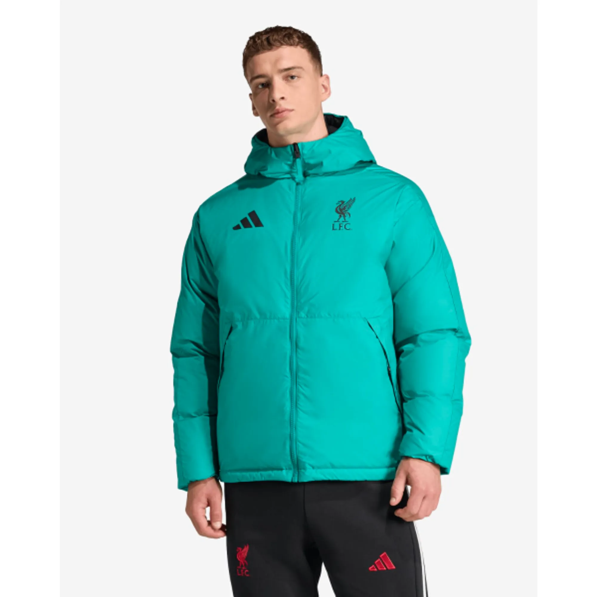 LFC adidas Mens 25/26 Reversible Down Jacket Green