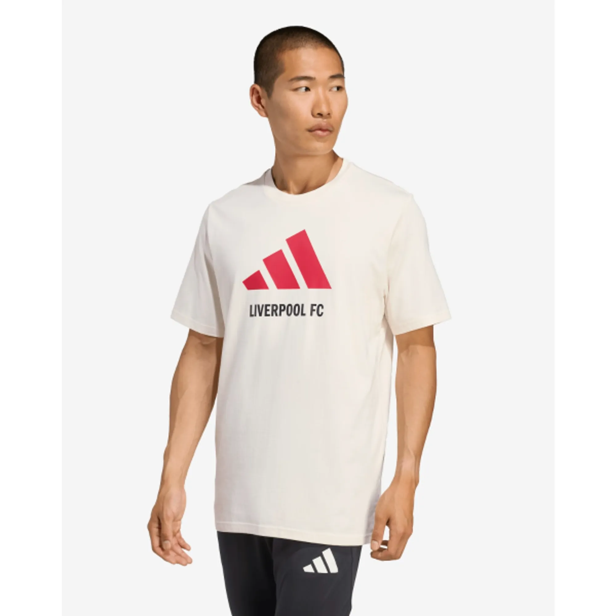 LFC adidas Adults 25/26 Graphic Tee White