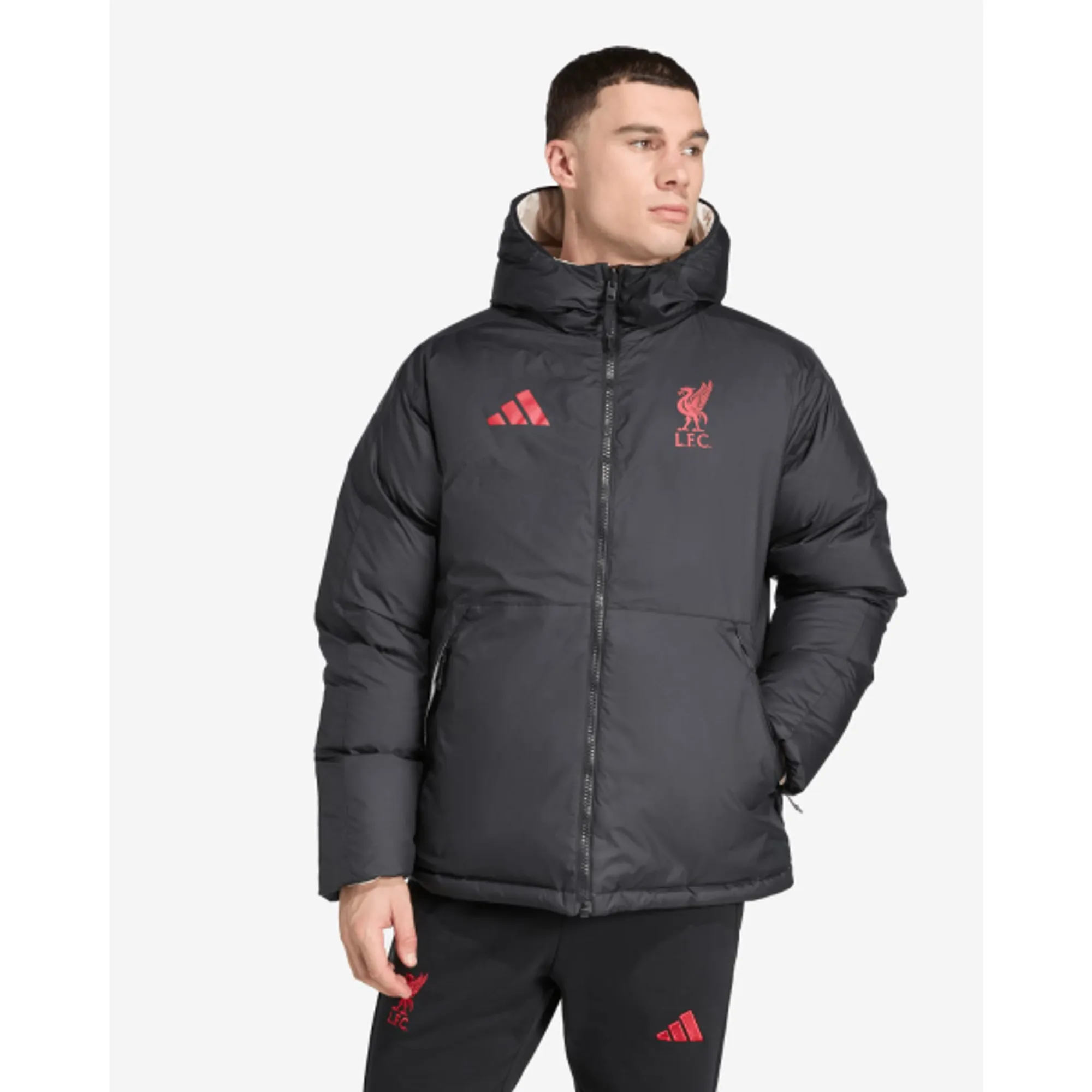 LFC adidas Adults 25/26 Reversible Down Jacket Black