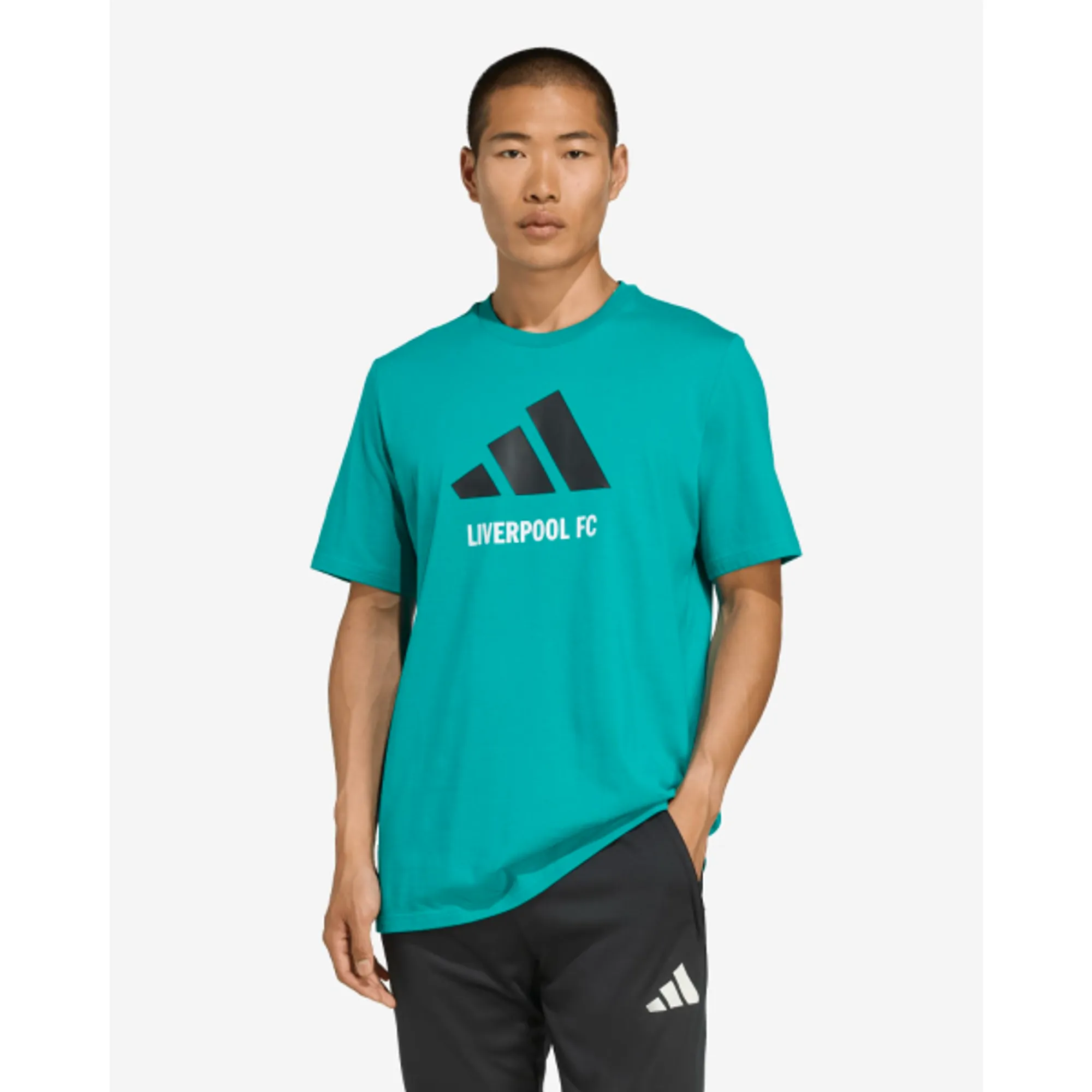 LFC adidas Adults 25/26 Graphic Tee Green