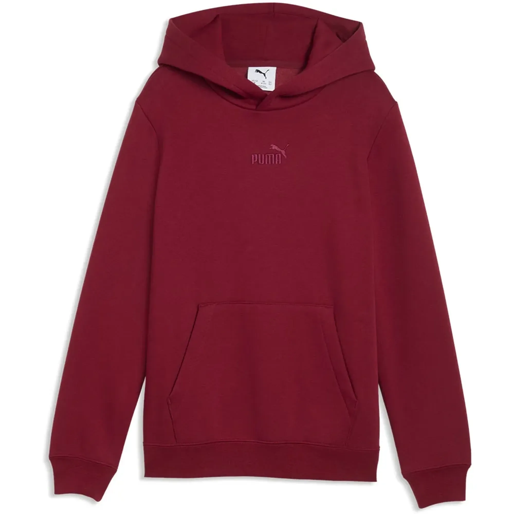 Puma Essential Small Nº1 Logo Centered Hoodie