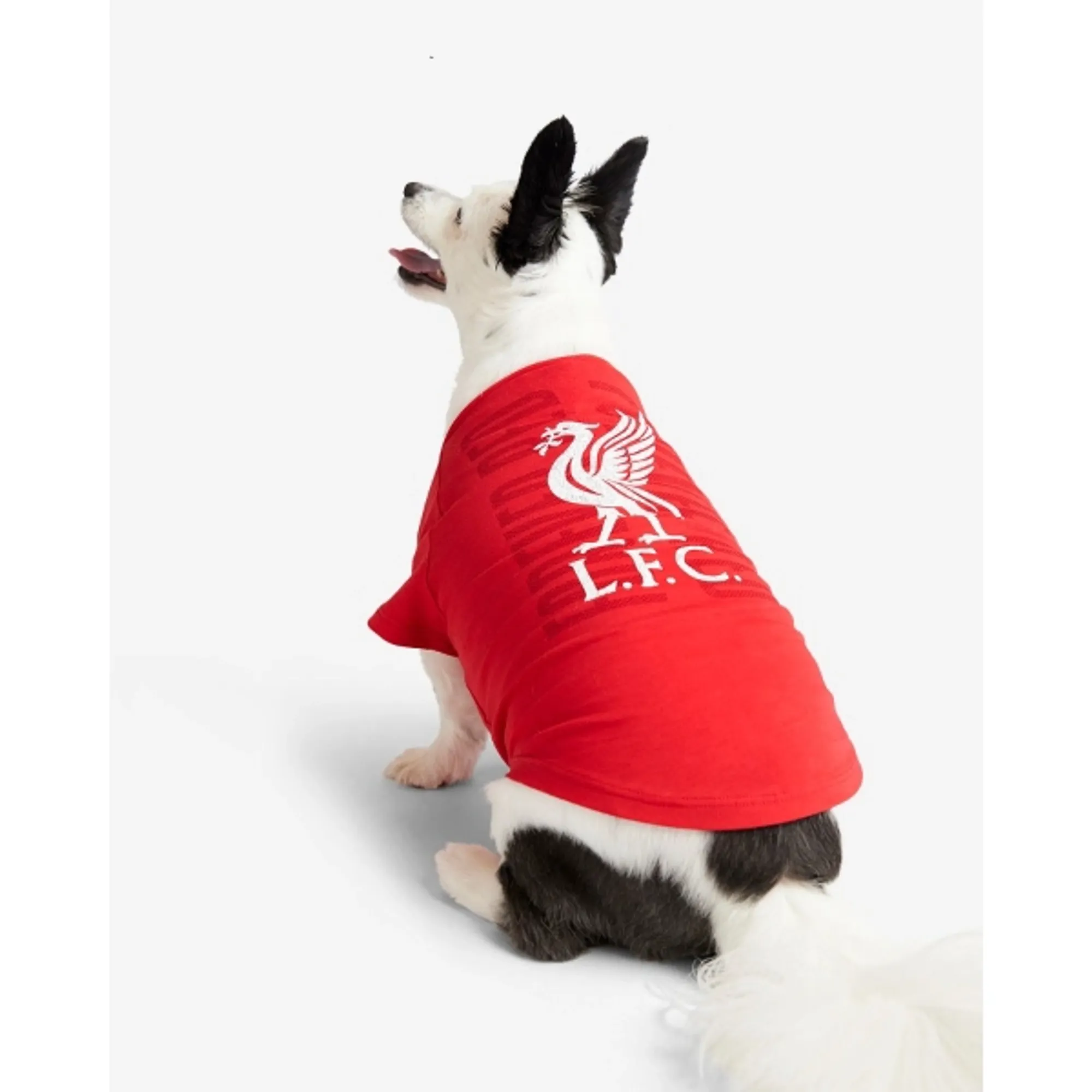 LFC Pet Forever Red Tee