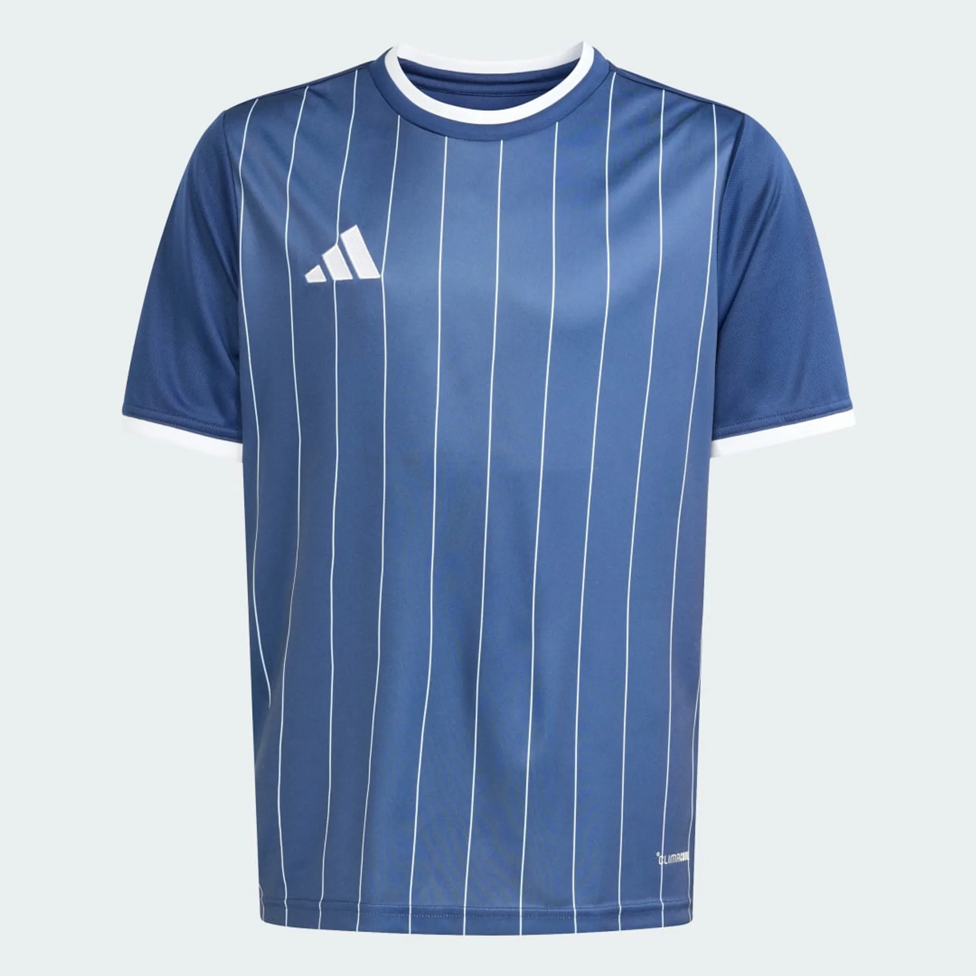adidas Entrada 26 Graphic Jersey Kids