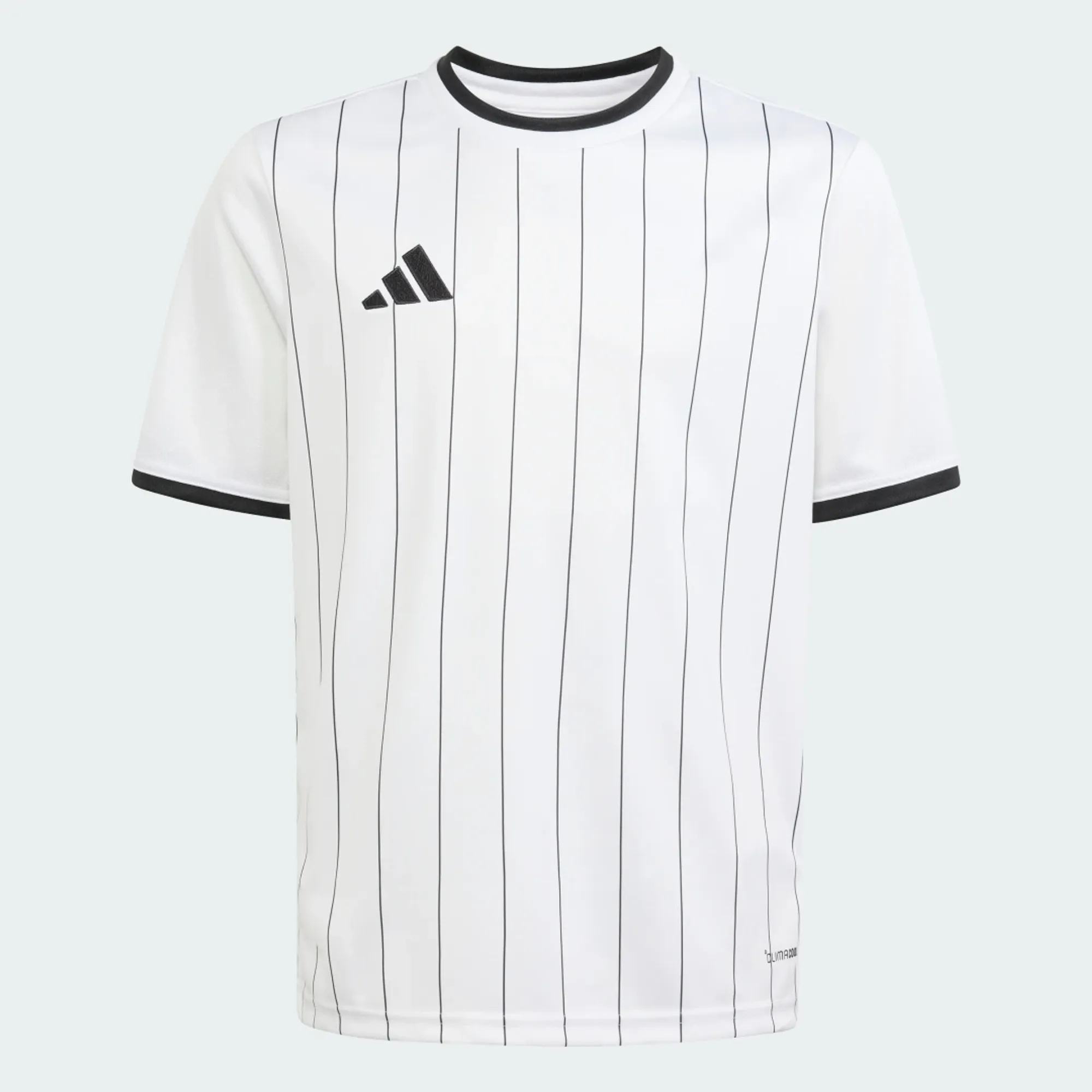 adidas Entrada26 Graphic Jersey Kids