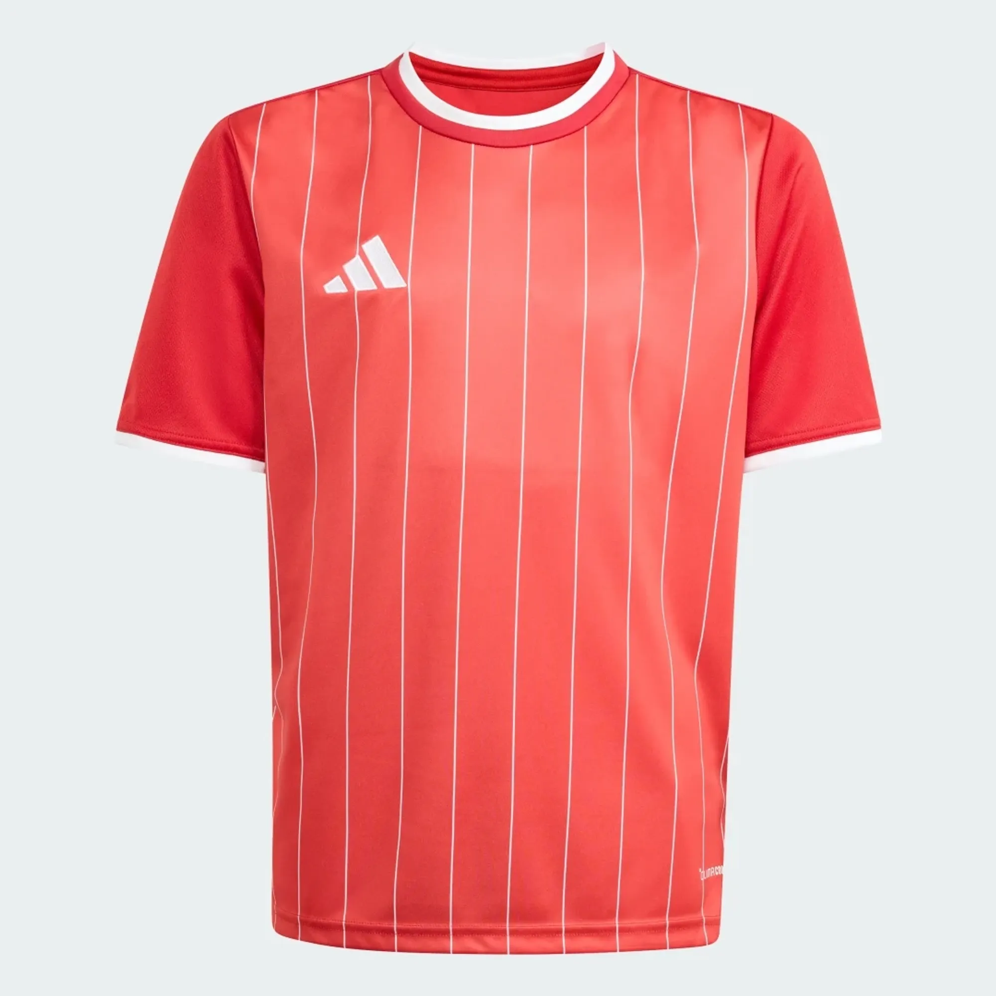 adidas Entrada 26 Graphic Jersey Kids