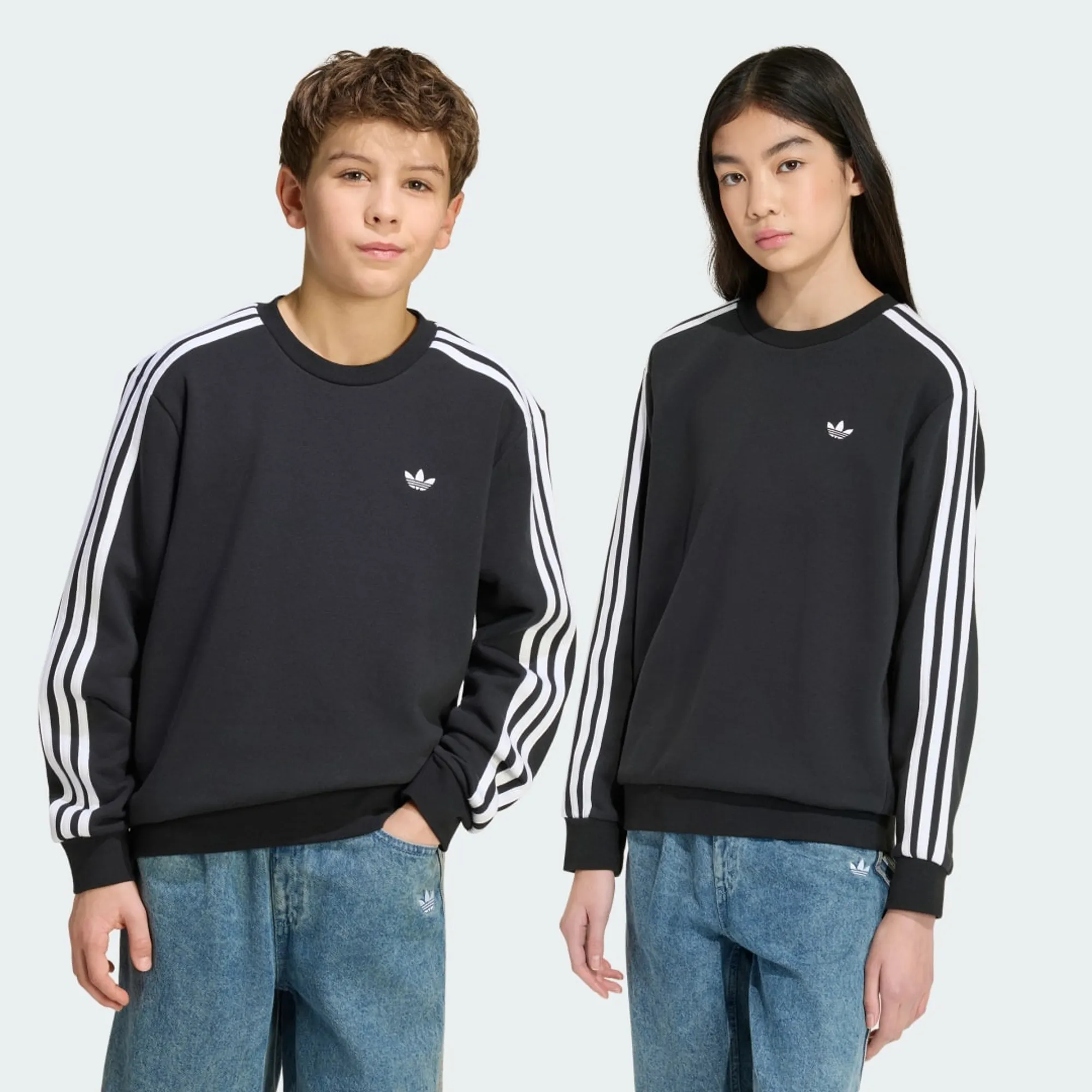 adidas 3-STRIPES LOOSE CREW Sweatshirt