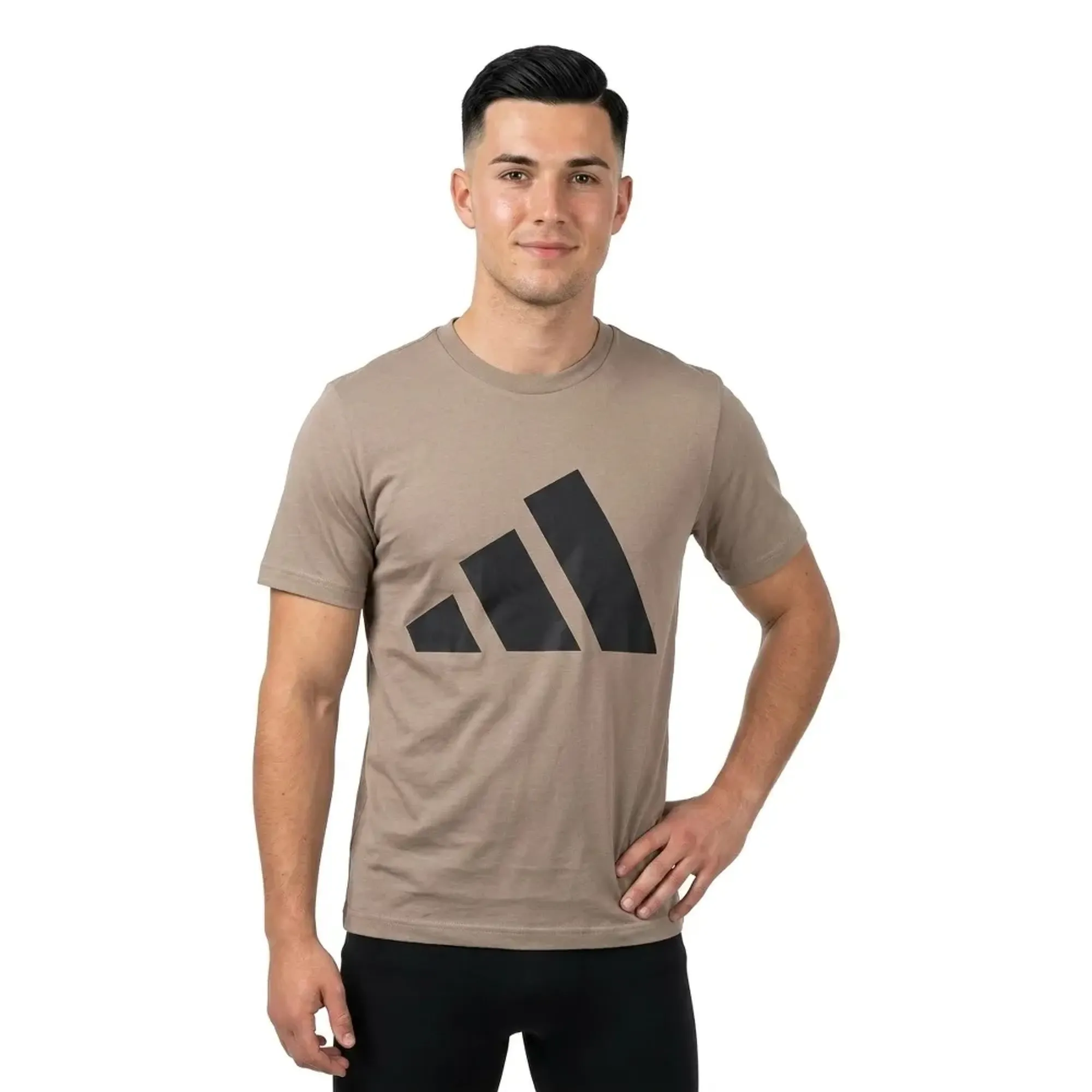 Adidas Essentials Big Logo Short Sleeve T-shirt