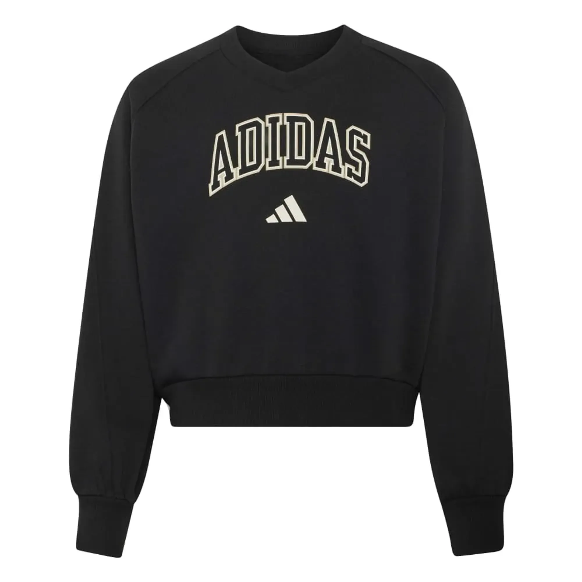 Adidas Seasonals Collegiate Typography V-neck Sweatshirt