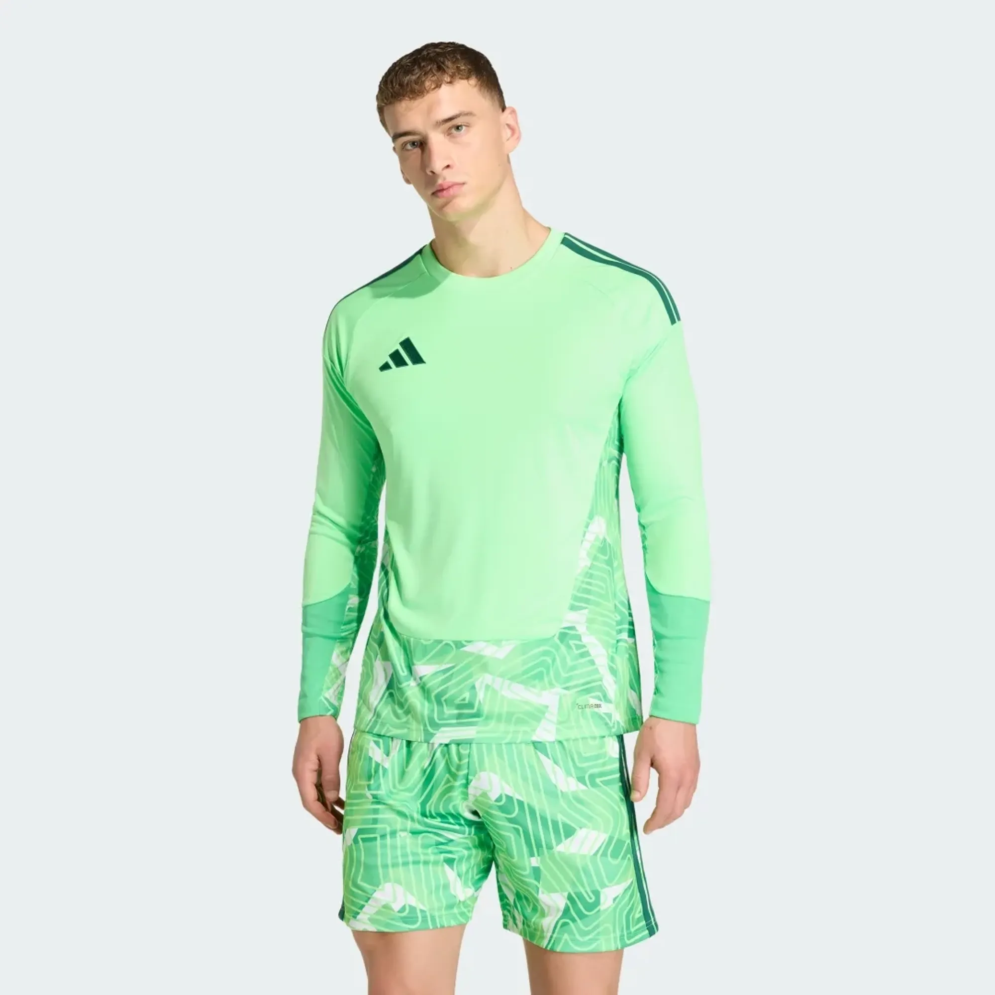 adidas TIRO26 COMPETITION GOALKEEPER JERSEY LONGSLEEVE