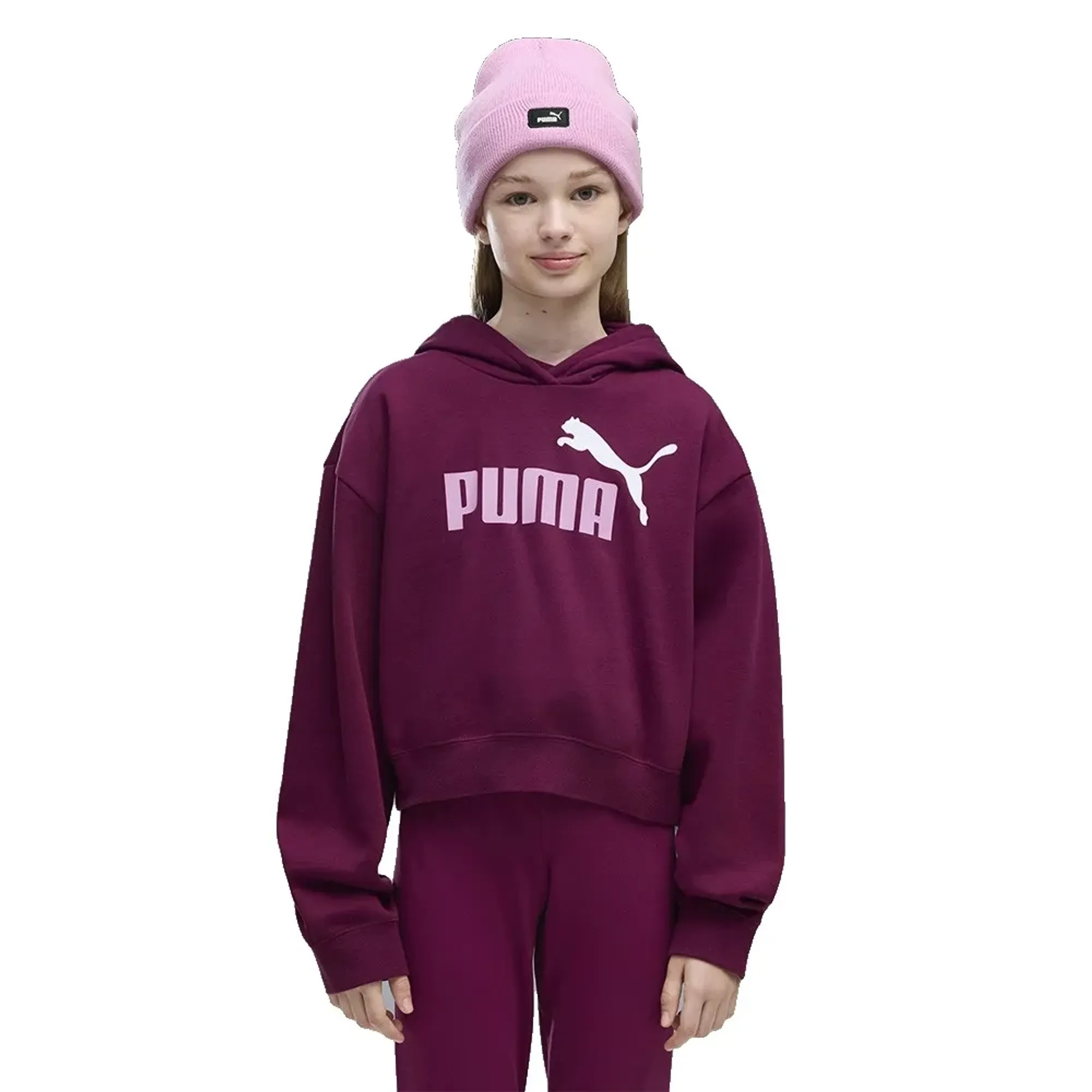 Puma Essential 2 Color Nº1 Logo Short Length Hoodie