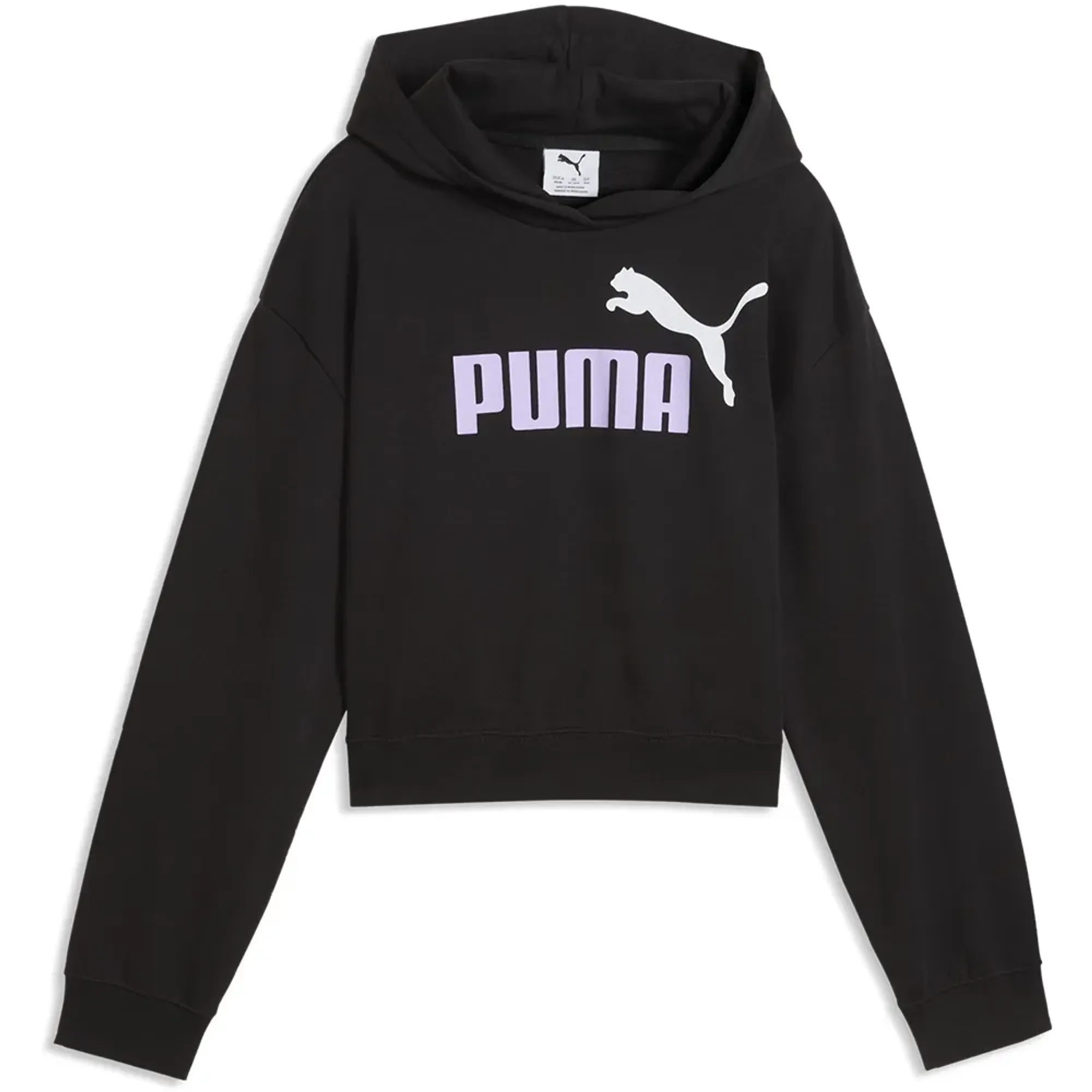 Puma Essential 2 Color Nº1 Logo Short Length Tr Hoodie