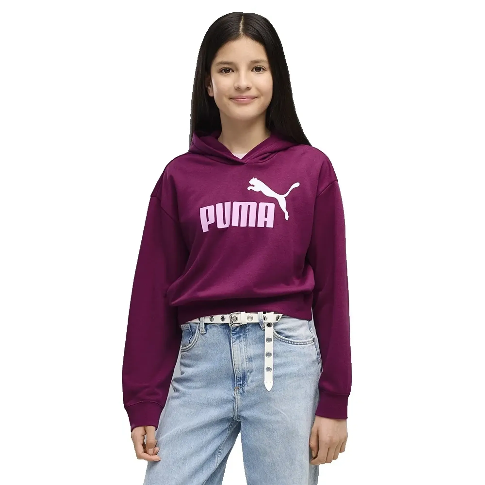 Puma Essential 2 Color Nº1 Logo Short Length Tr Hoodie
