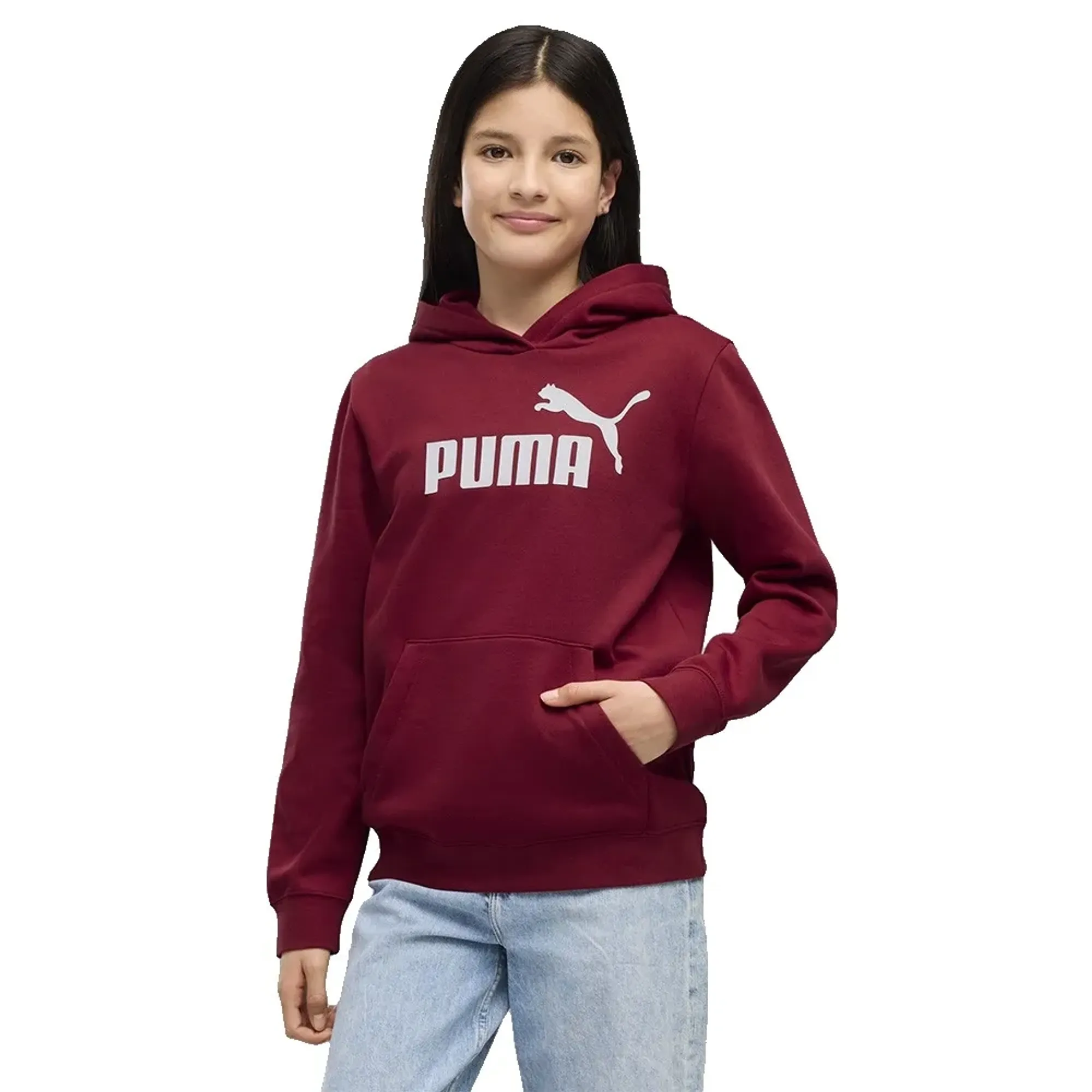Puma Essential Nº1 Logo Hoodie