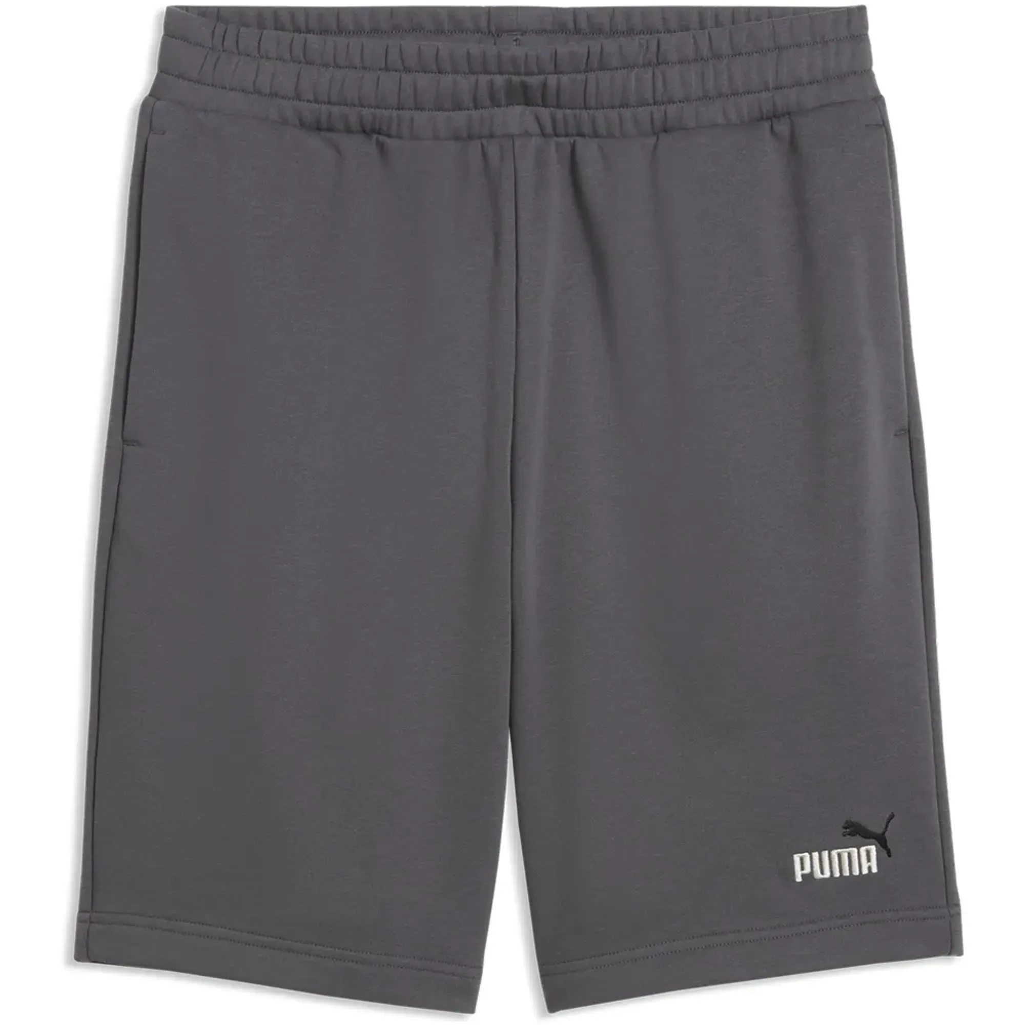 Puma Essential 2 Color Nº1 Logo 10´´ Sweat Shorts