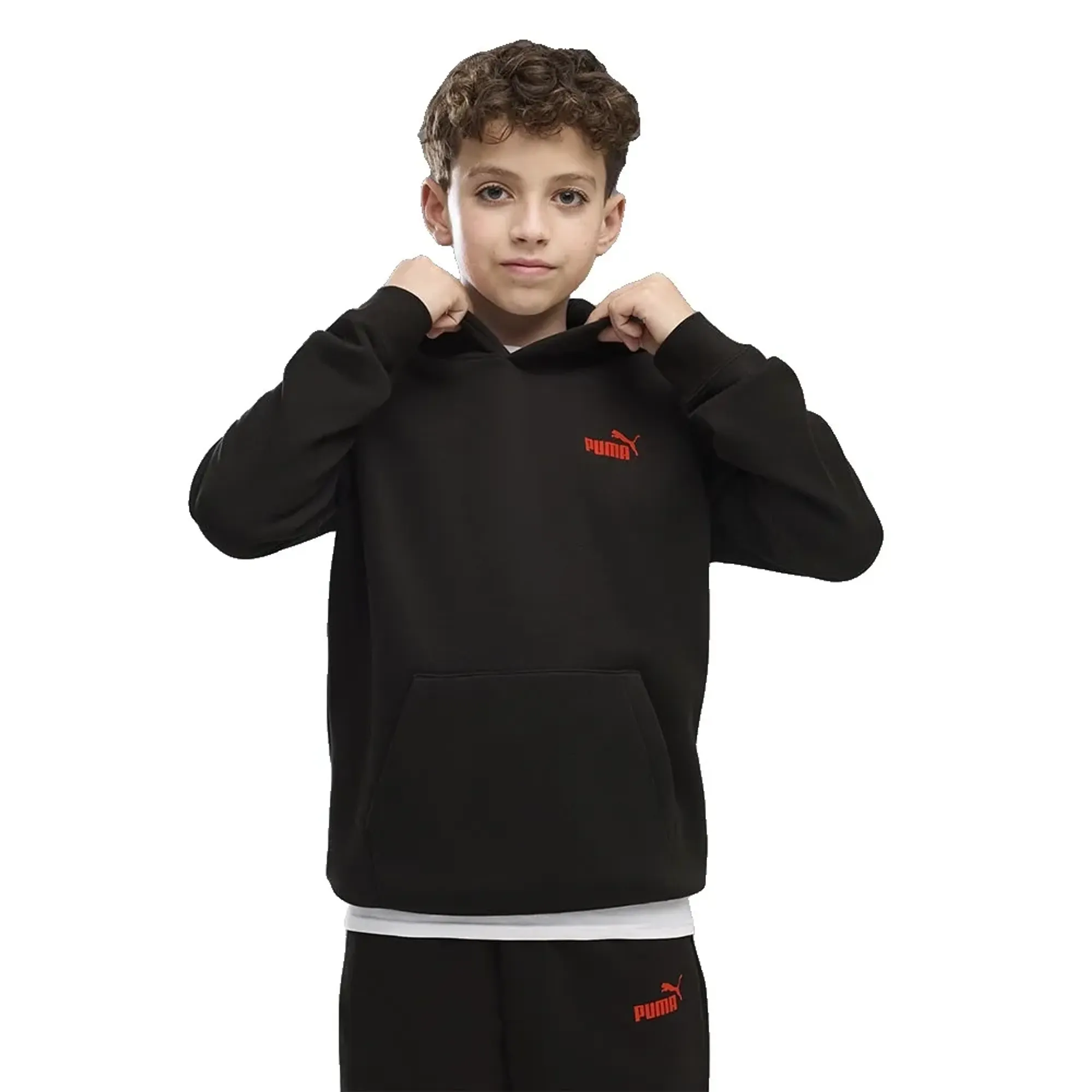 Puma Essential Logo Lab Brand Back Graphic Hoodie