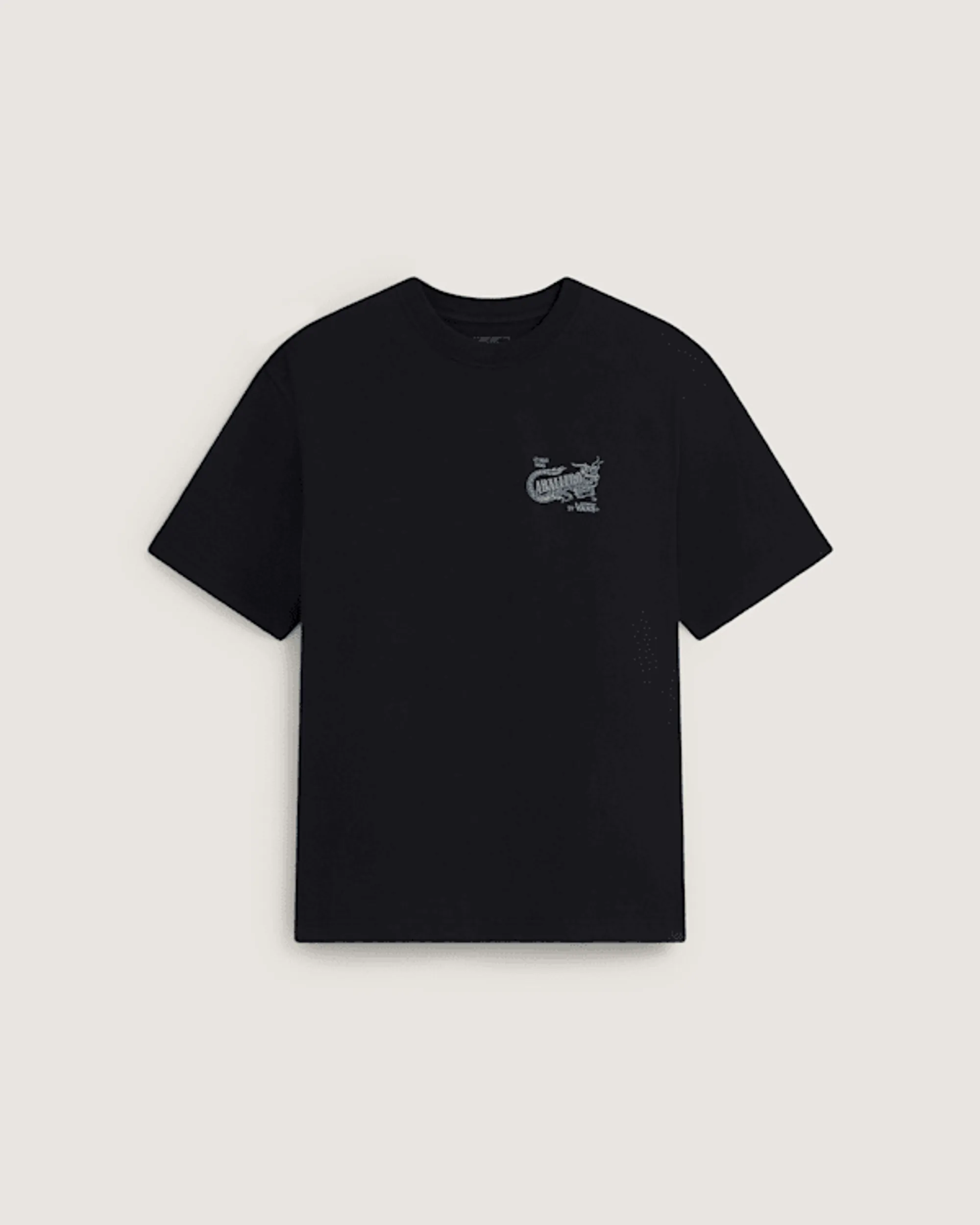 Vans - Caballero T-Shirt, Man, Black