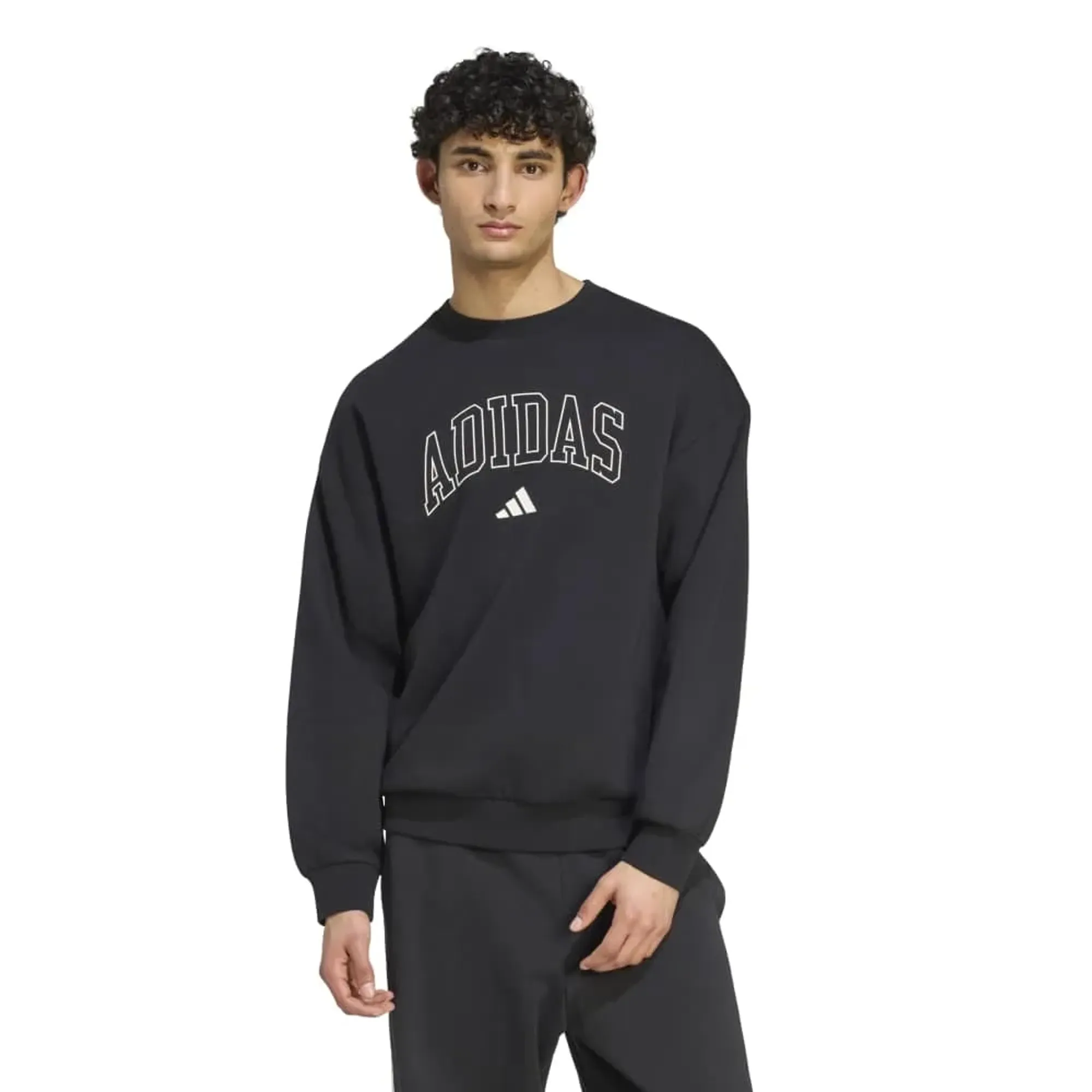 Adidas Seasonal Essentials Collegiate Fleece Crew Sweatshirt