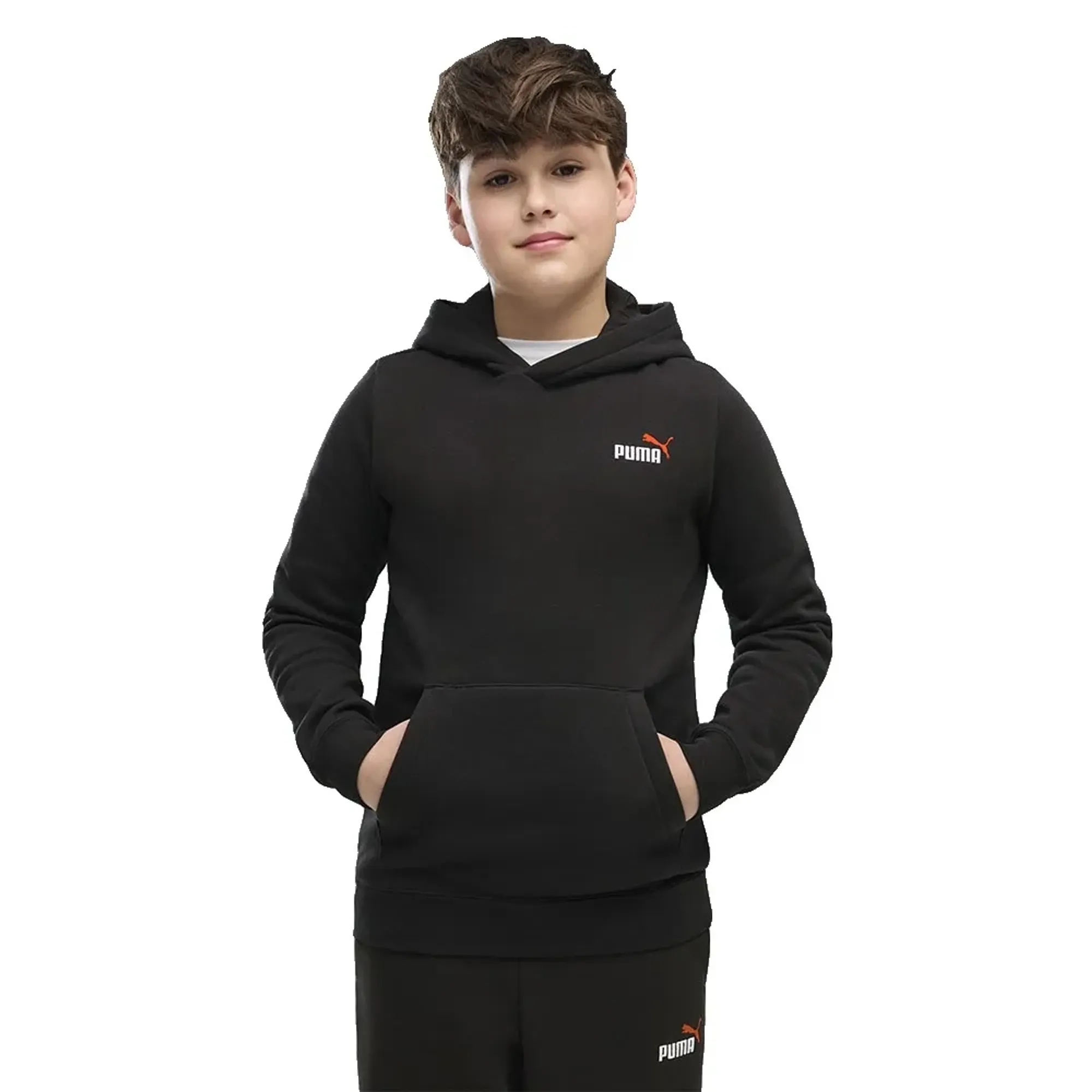 Puma Essential 2 Color Small Nº1 Logo Hoodie