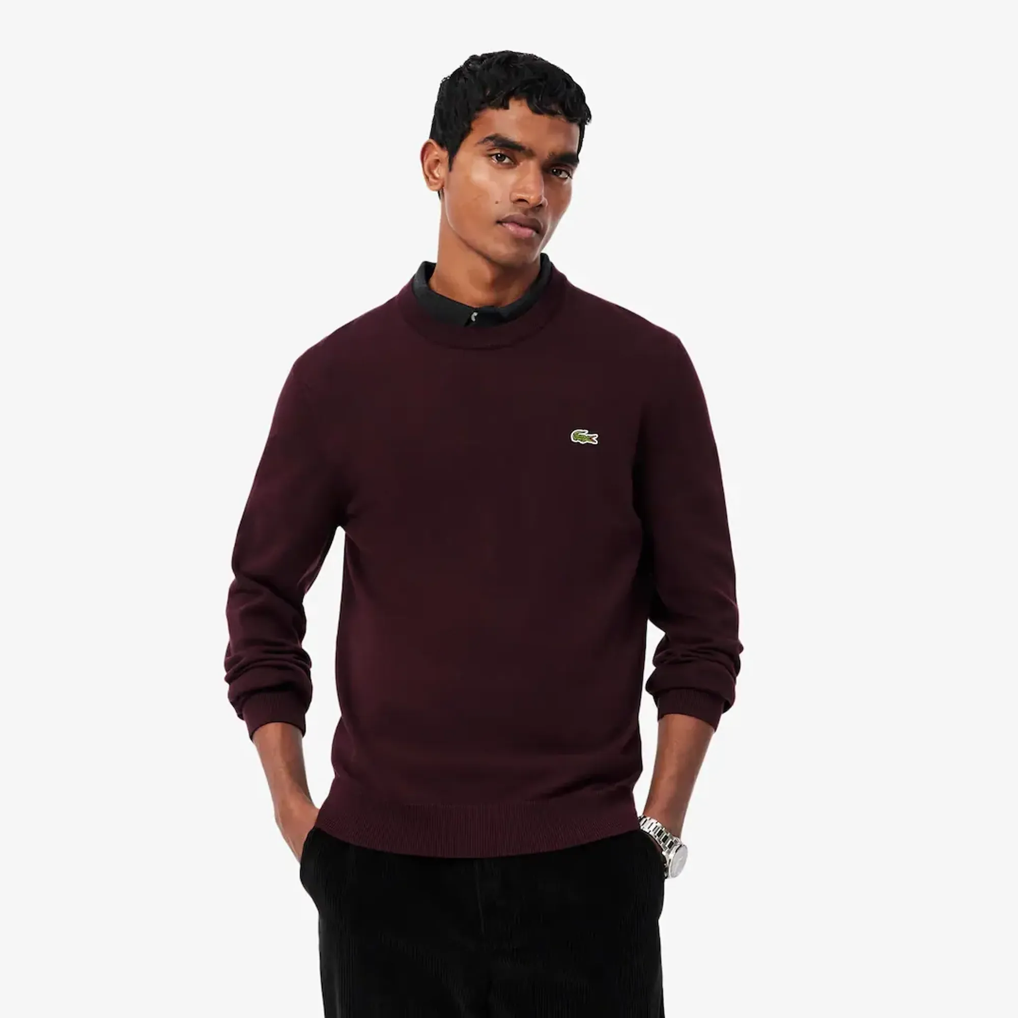 Lacoste Monochrome Crew Neck Cotton Sweater - Brown