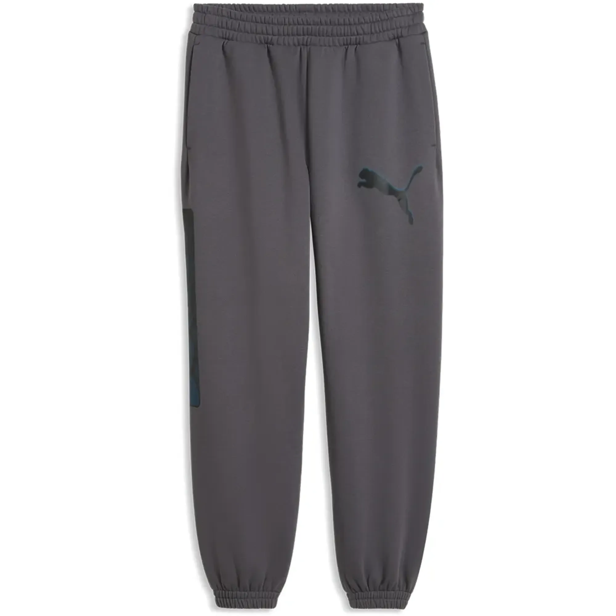 Puma Sport Street Relaxed Graphic Sweat Pants