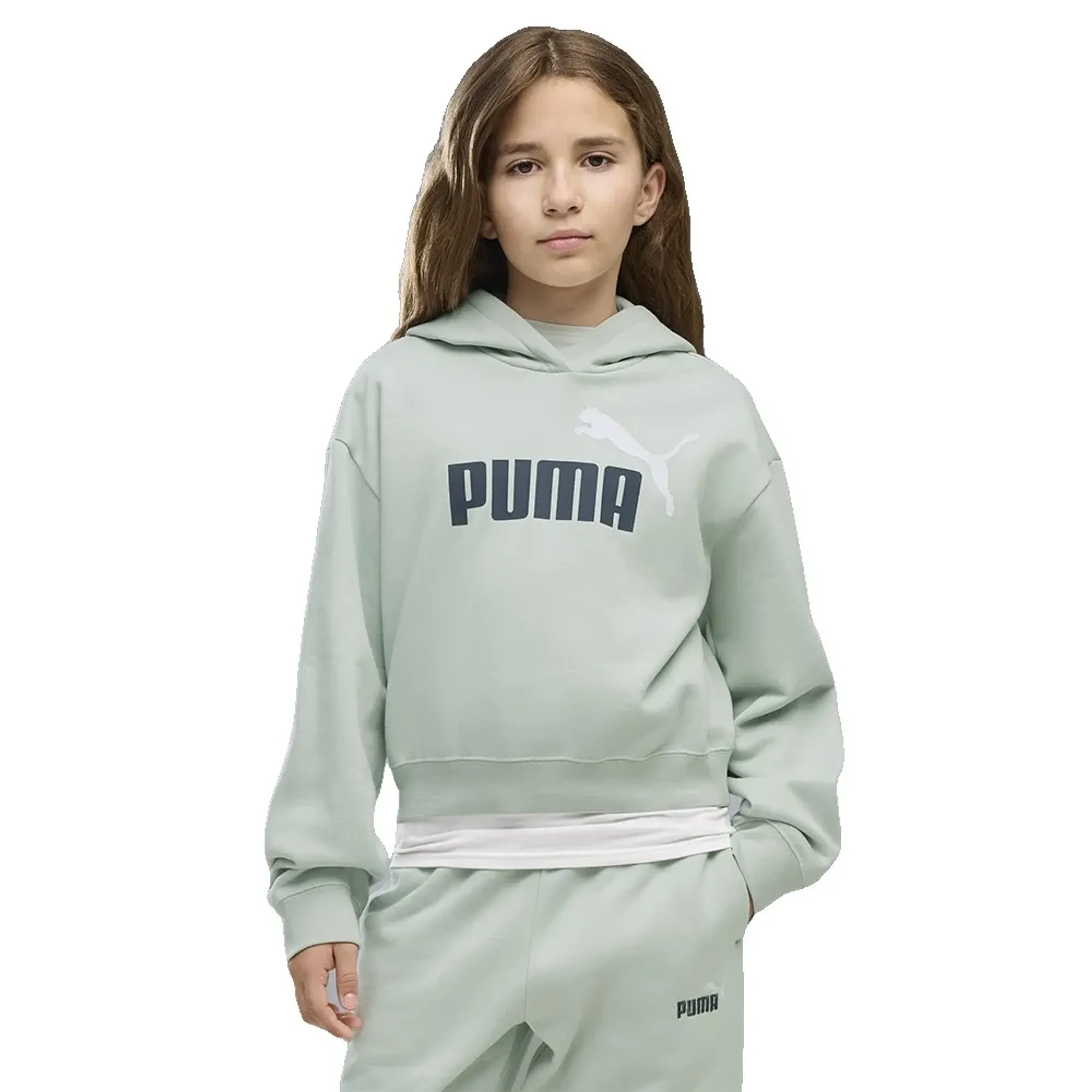 Puma Essential 2 Color Nº1 Logo Short Length Hoodie