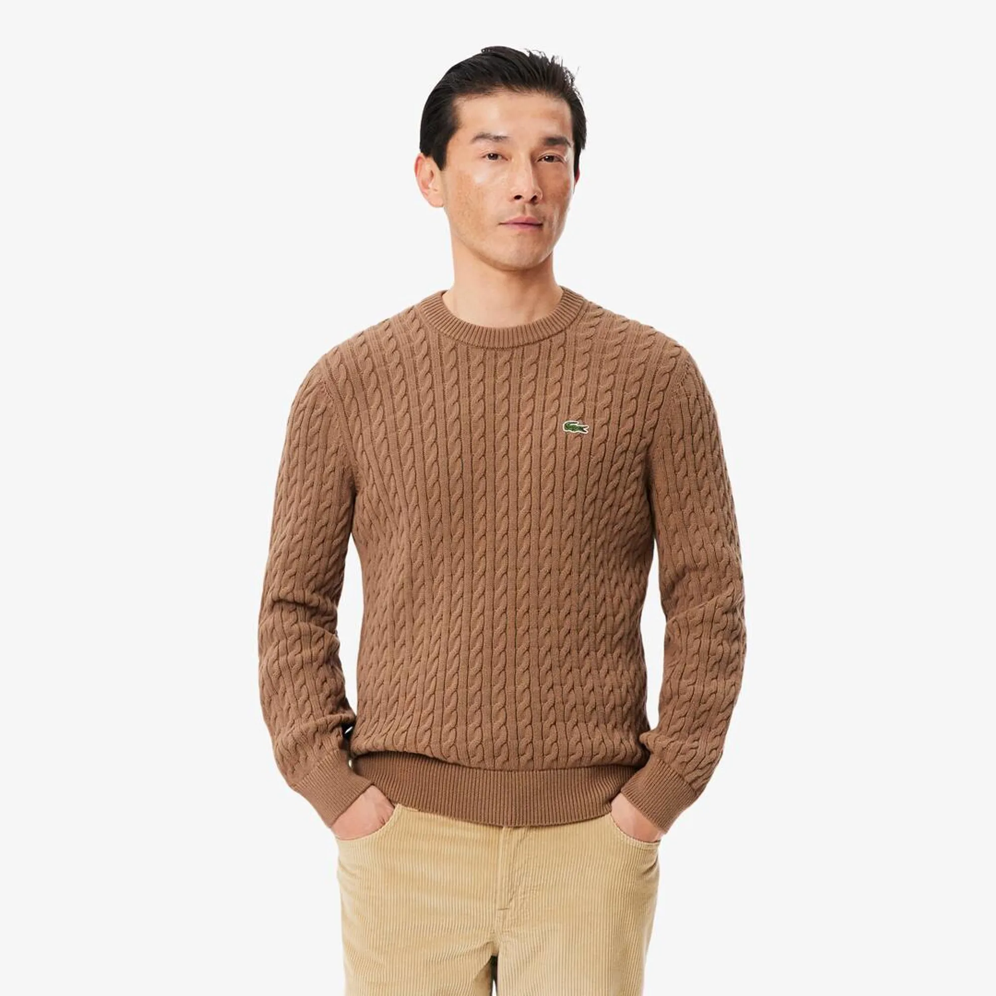 Lacoste Cable Knit Cotton Sweater - Marron / Vert