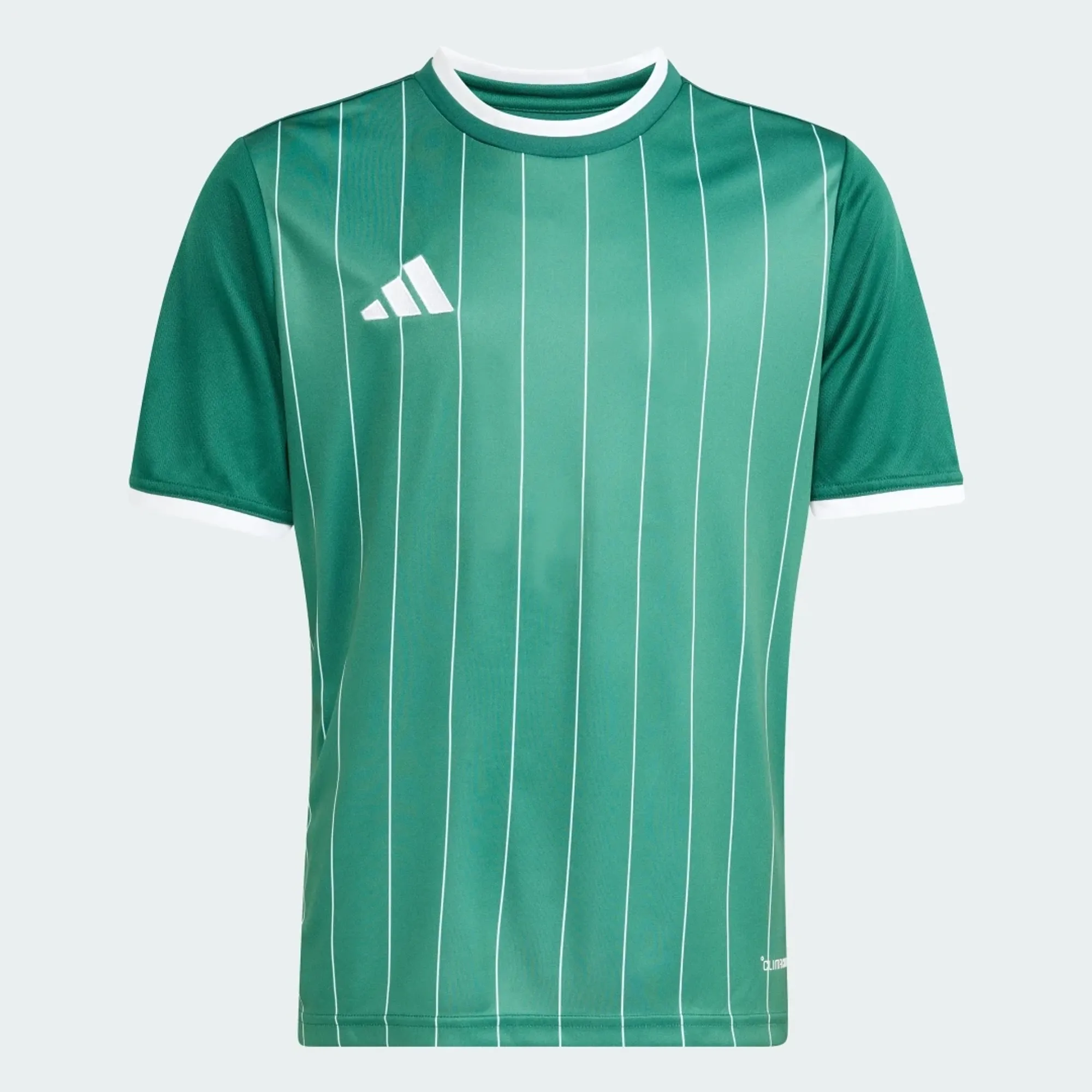adidas Entrada26 Graphic Jersey Kids