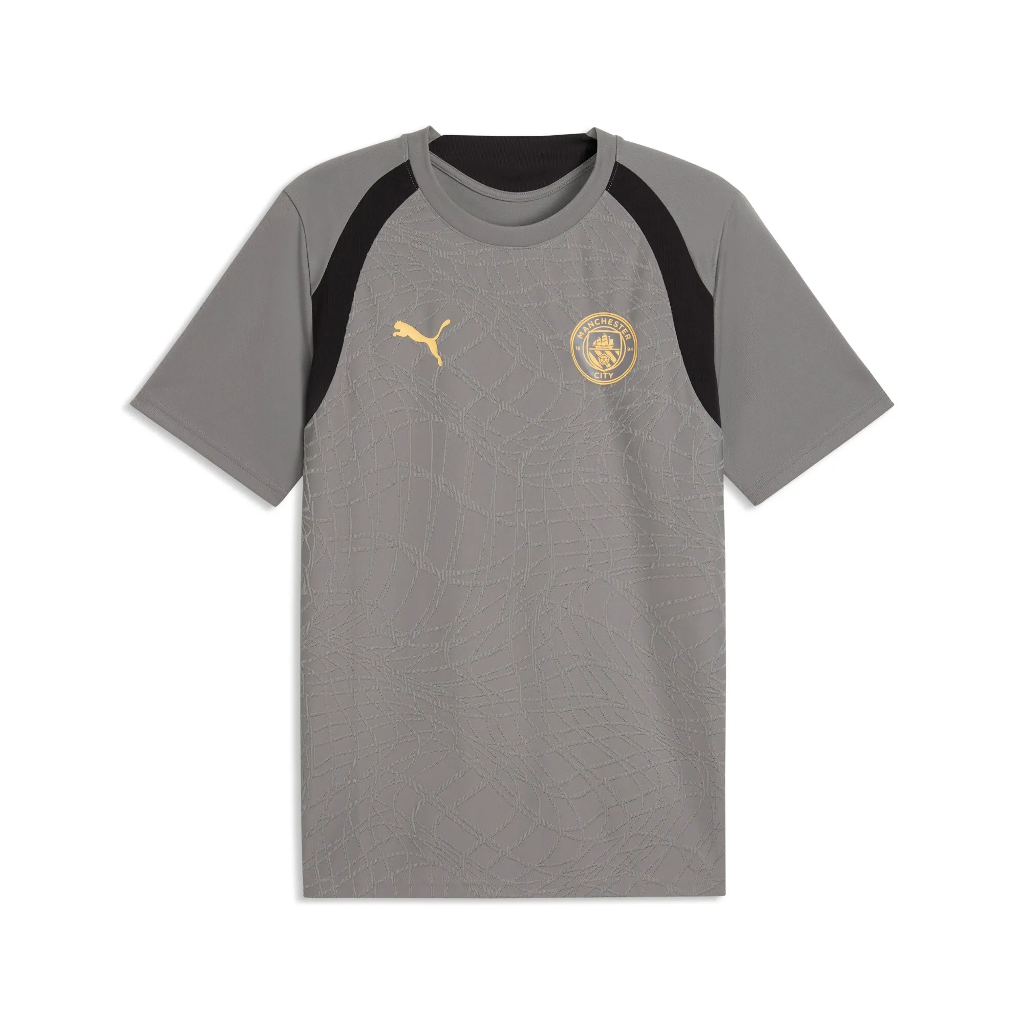 Manchester City Slim Training Jersey Men in Gray | Size Large